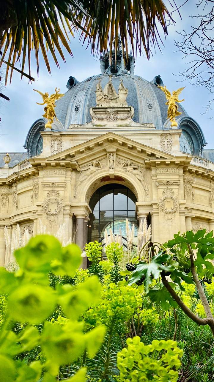 Bild ohne Beschreibung