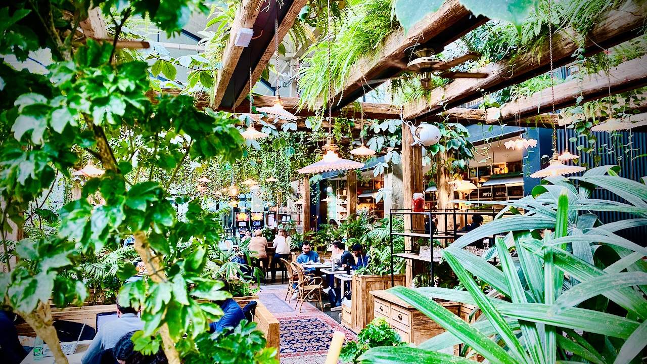 Bild ohne Beschreibung