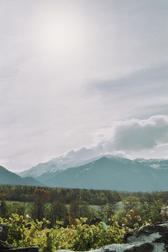 Pentax-K1000-50mm-Herbst-Chur 5