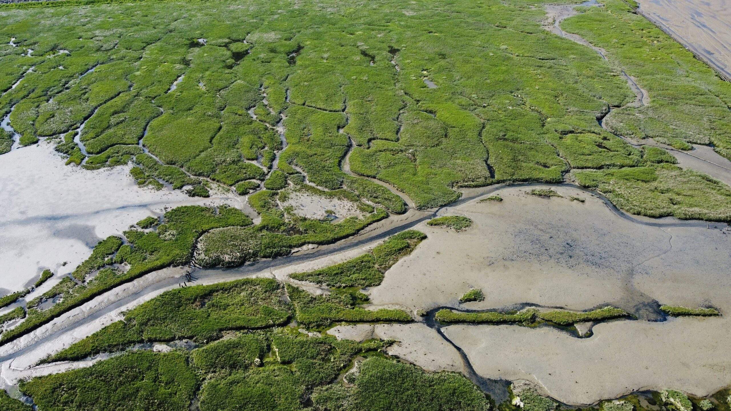 Bild ohne Beschreibung Bild ohne Beschreibung