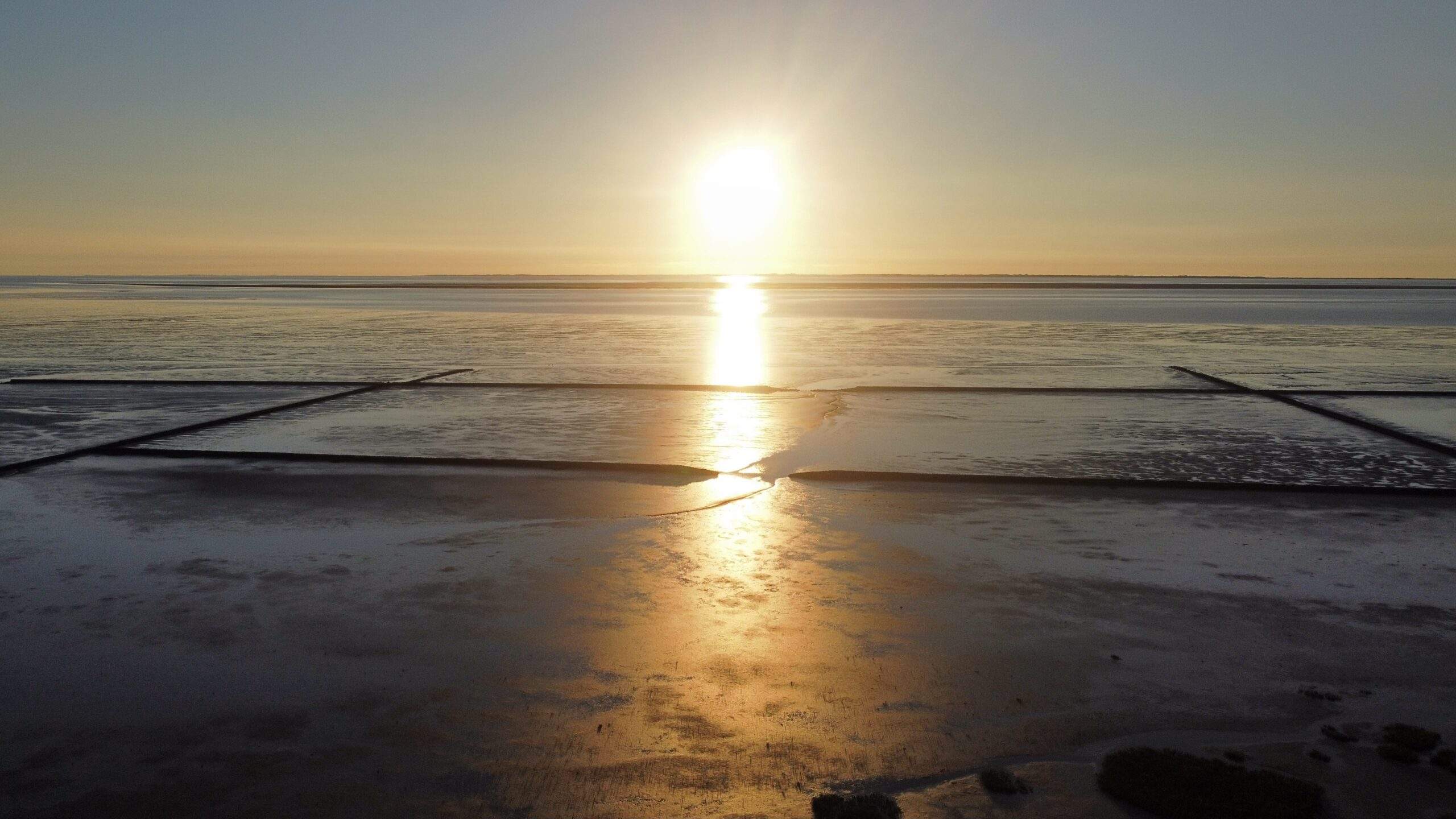 Bild ohne Beschreibung Bild ohne Beschreibung