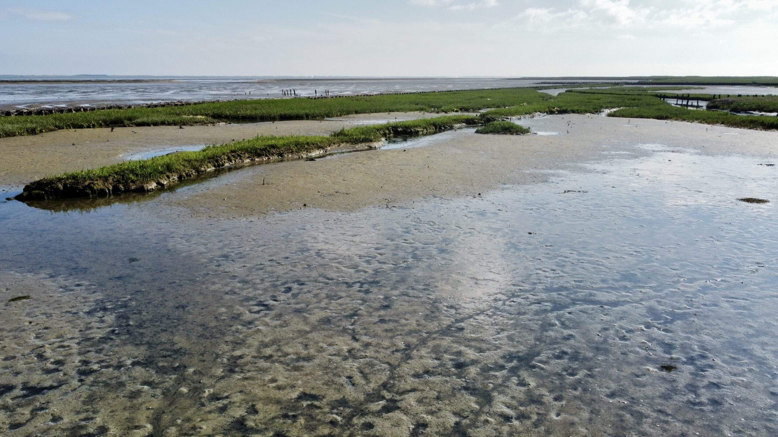 Bild ohne Beschreibung Bild ohne Beschreibung