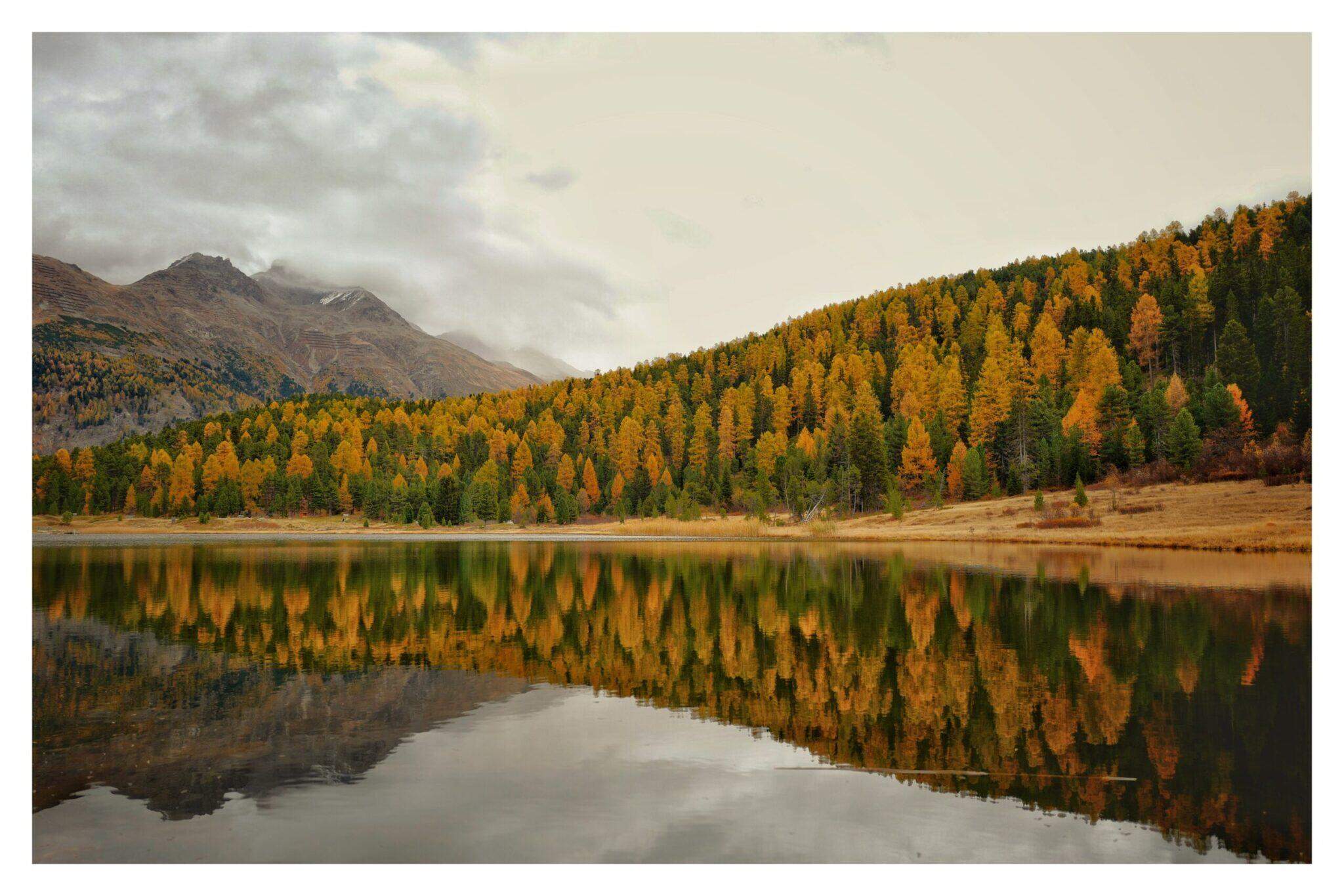 Bild ohne Beschreibung Bild ohne Beschreibung