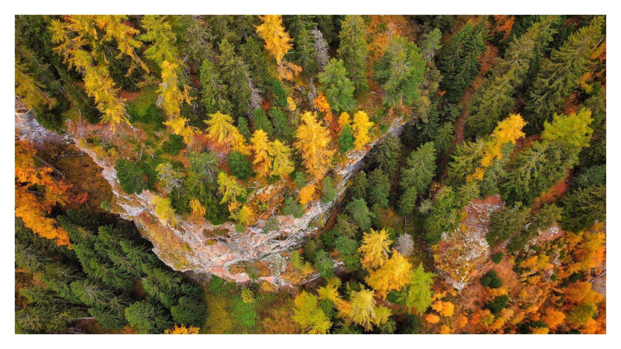 Bild ohne Beschreibung