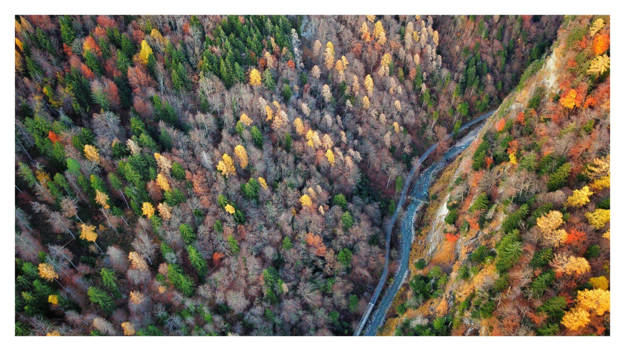 Bild ohne Beschreibung