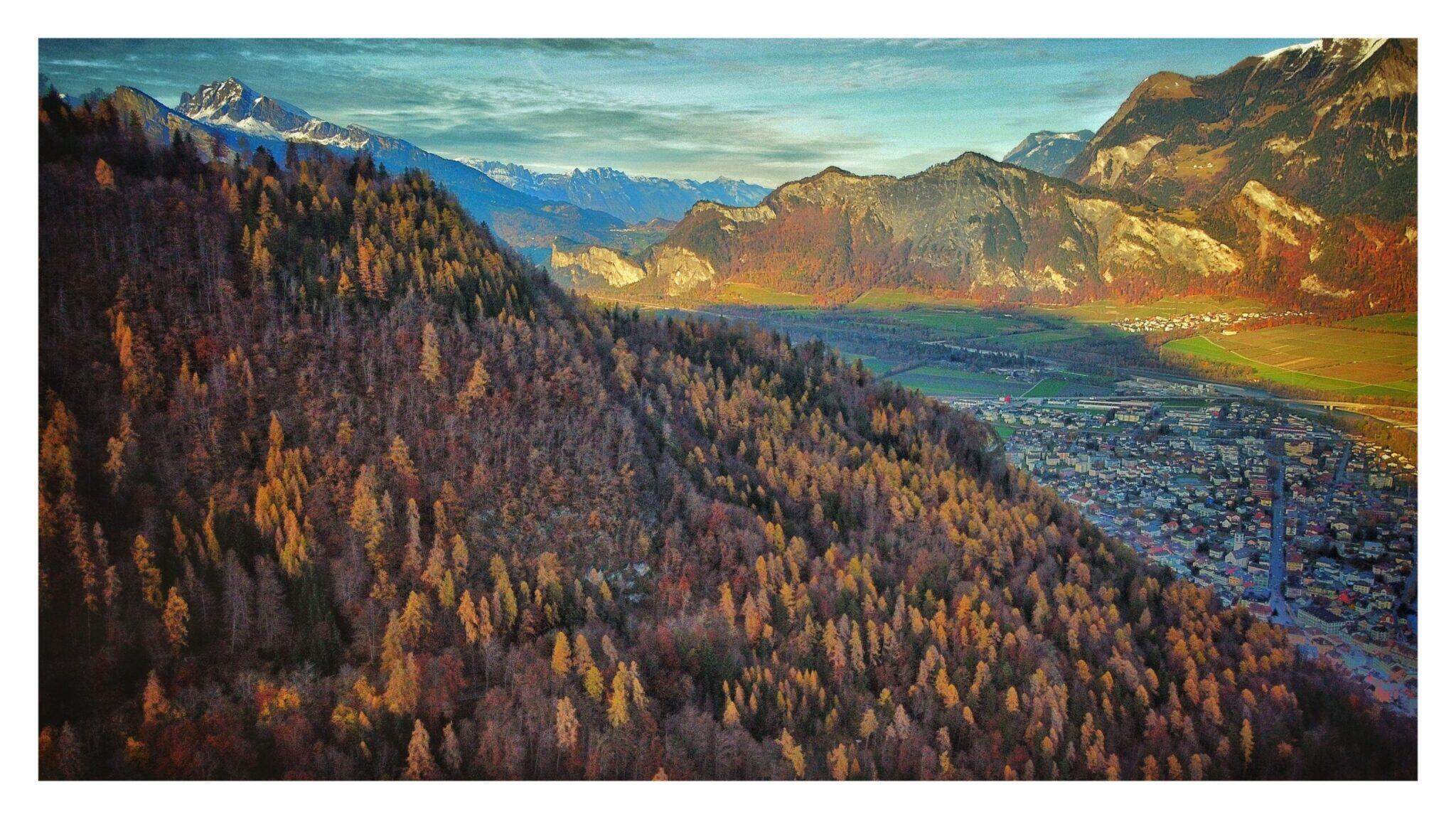 Bild ohne Beschreibung