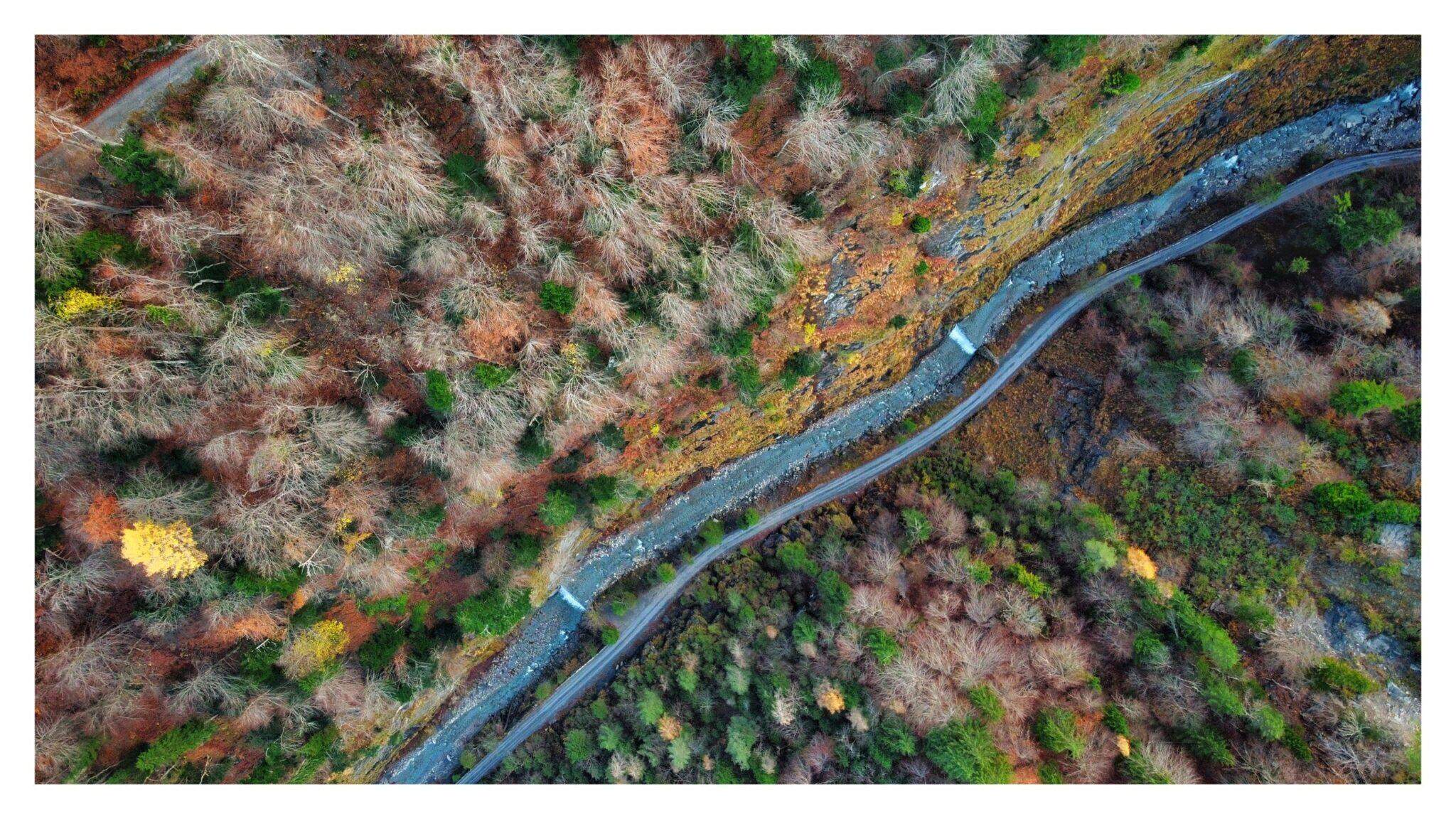 Bild ohne Beschreibung