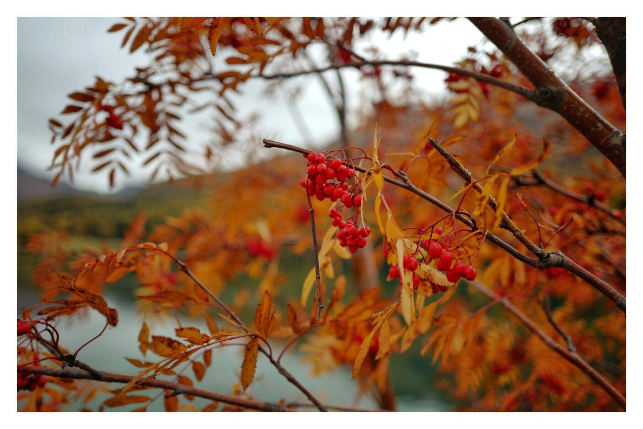 Bild ohne Beschreibung