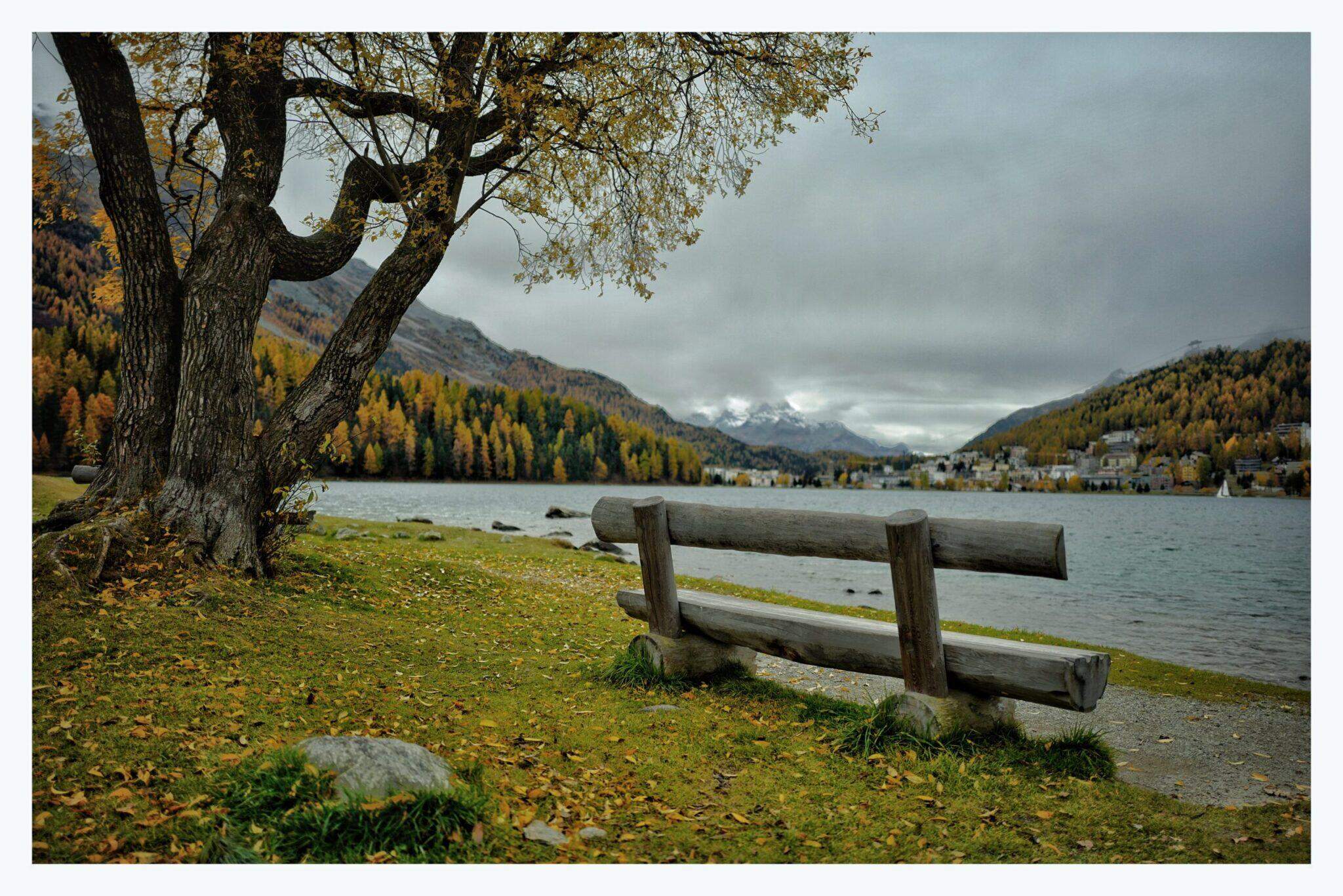 Bild ohne Beschreibung