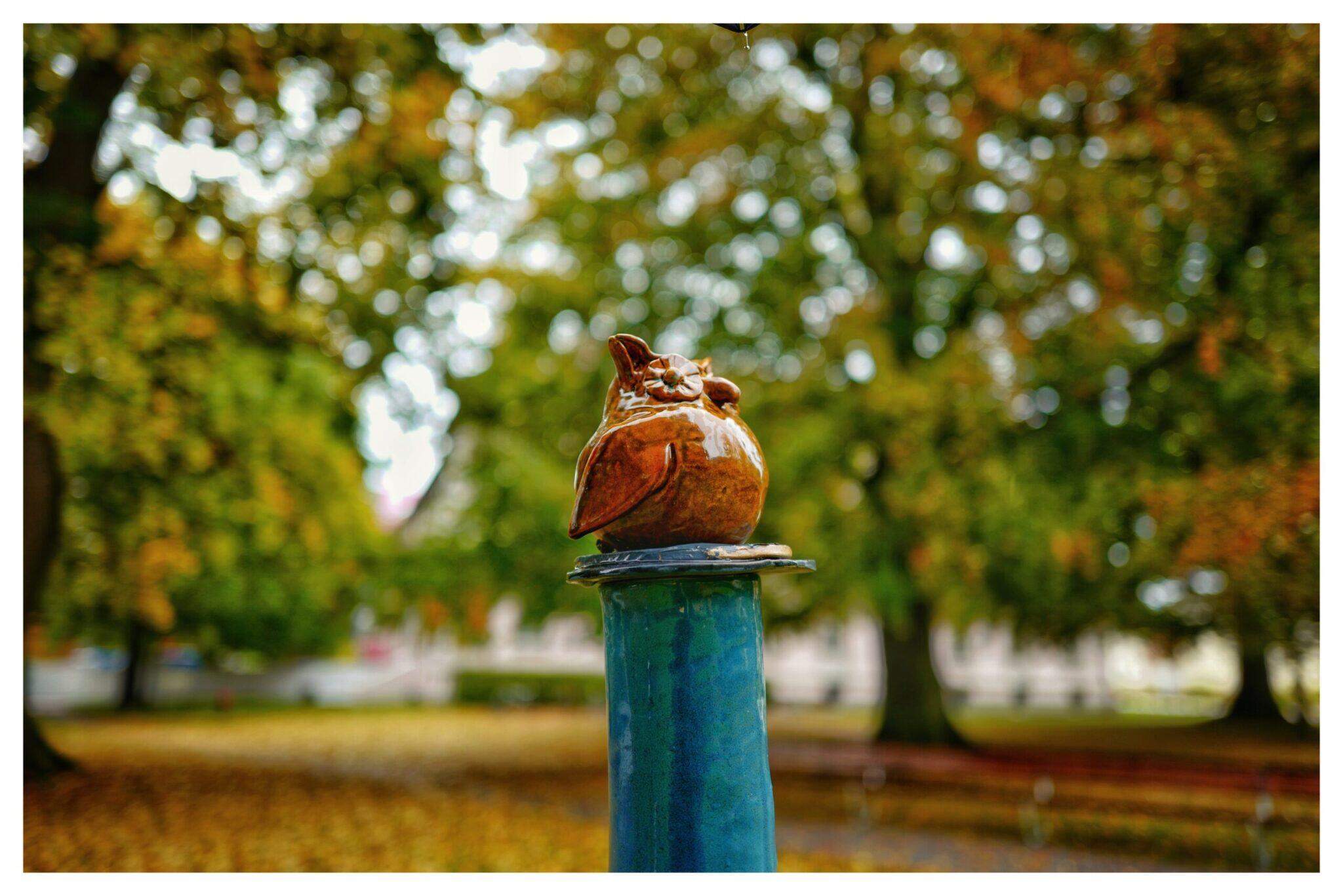 Bild ohne Beschreibung