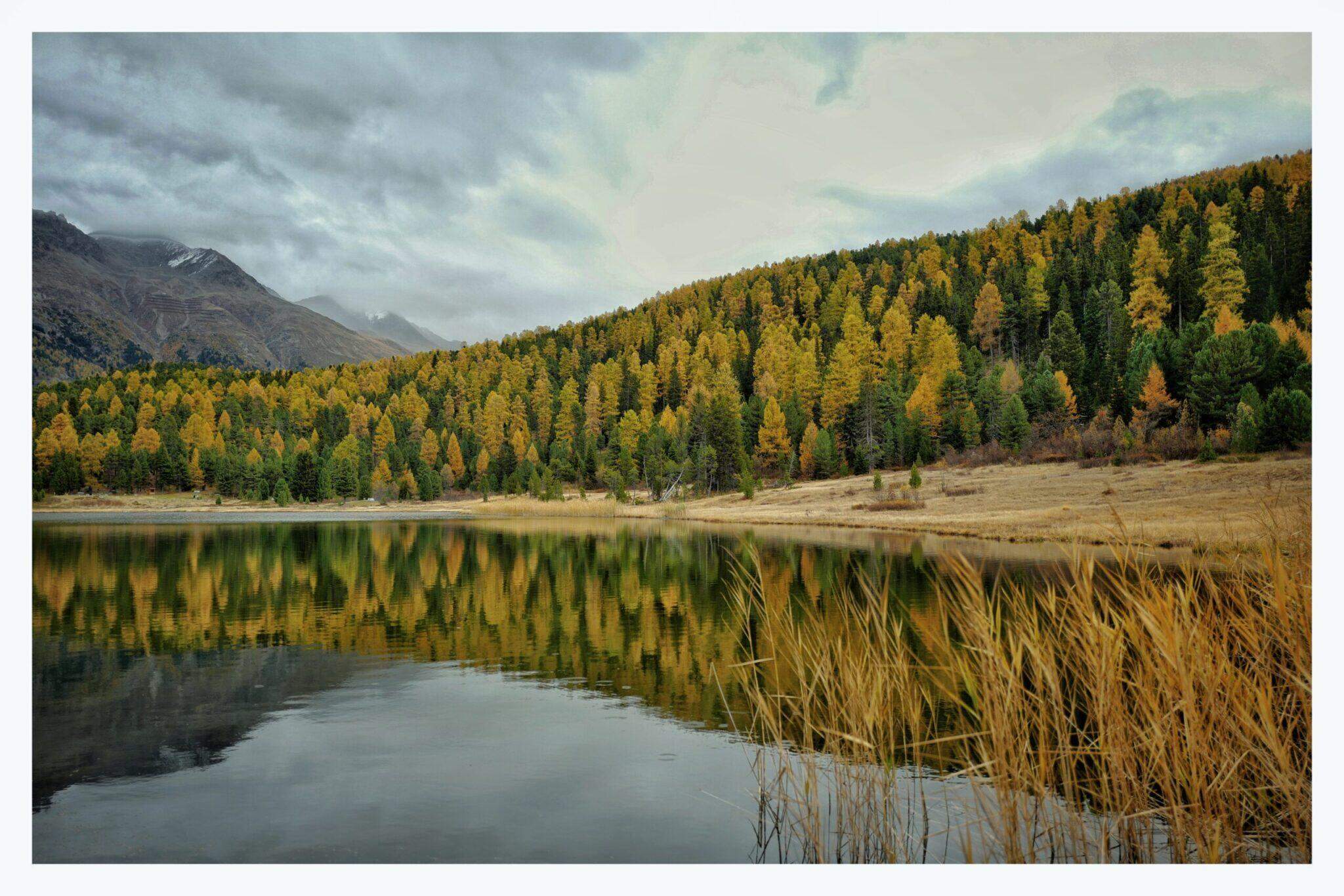 Bild ohne Beschreibung