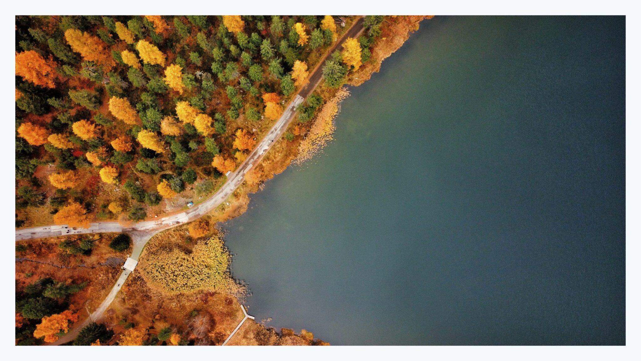 Bild ohne Beschreibung