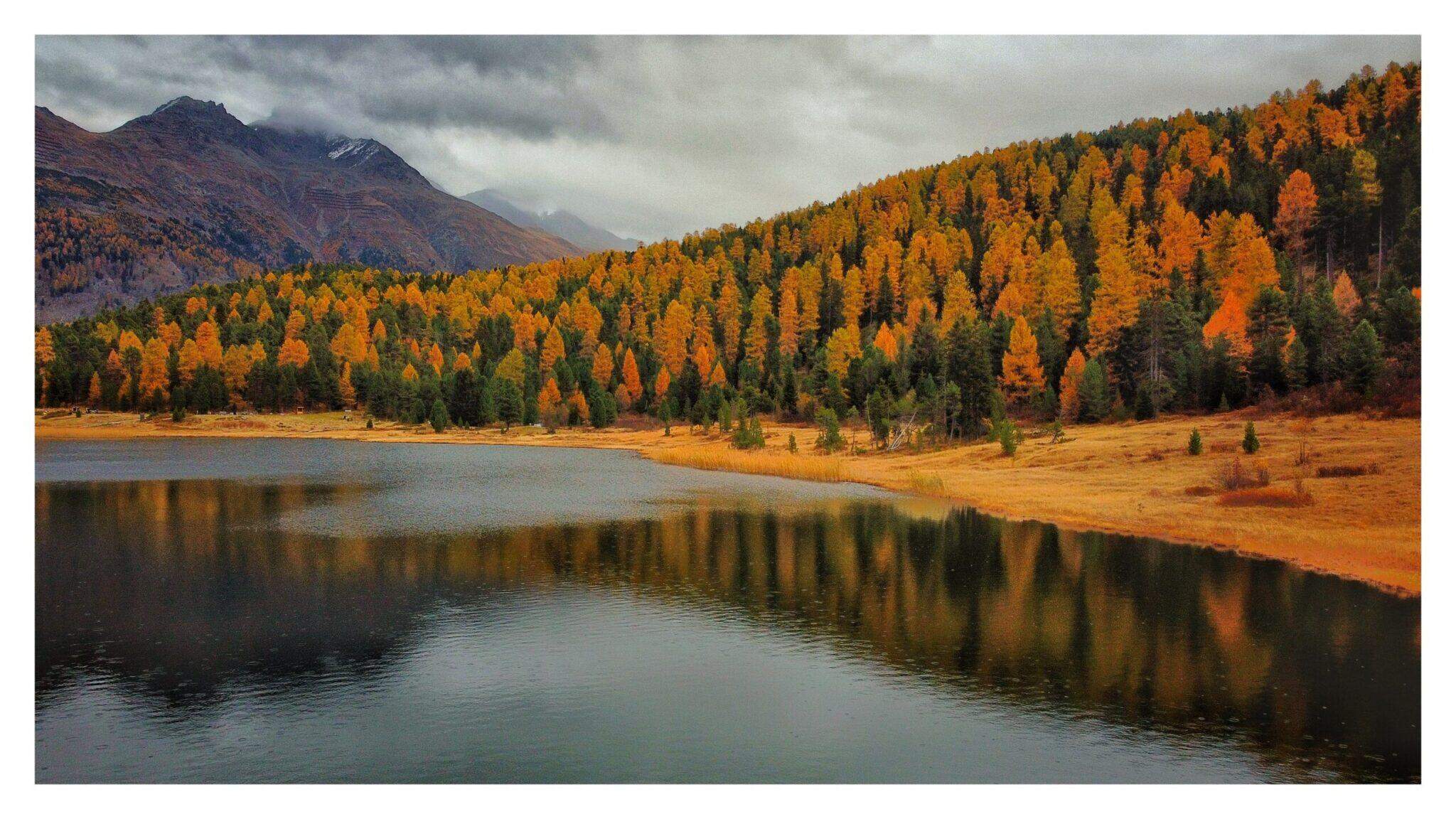 Bild ohne Beschreibung