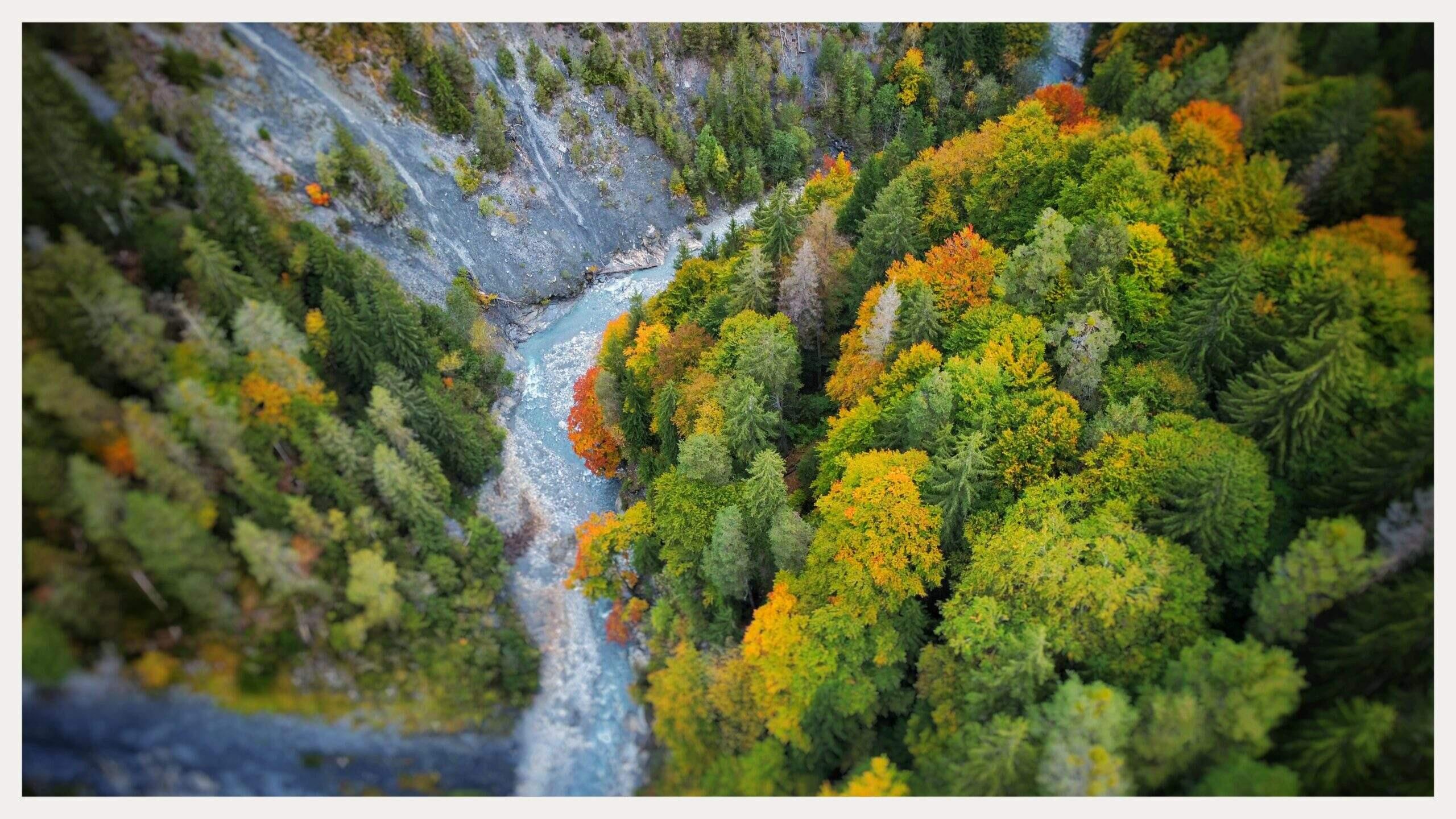 Bild ohne Beschreibung