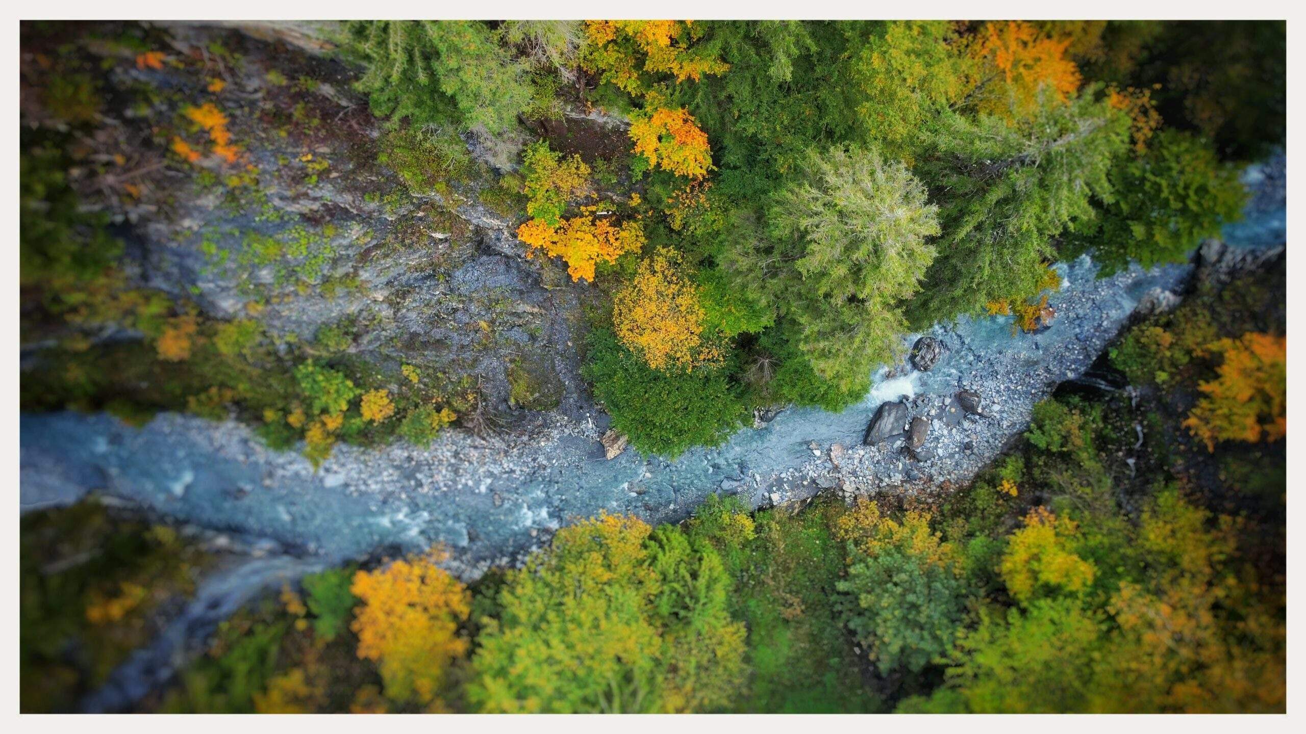 Bild ohne Beschreibung