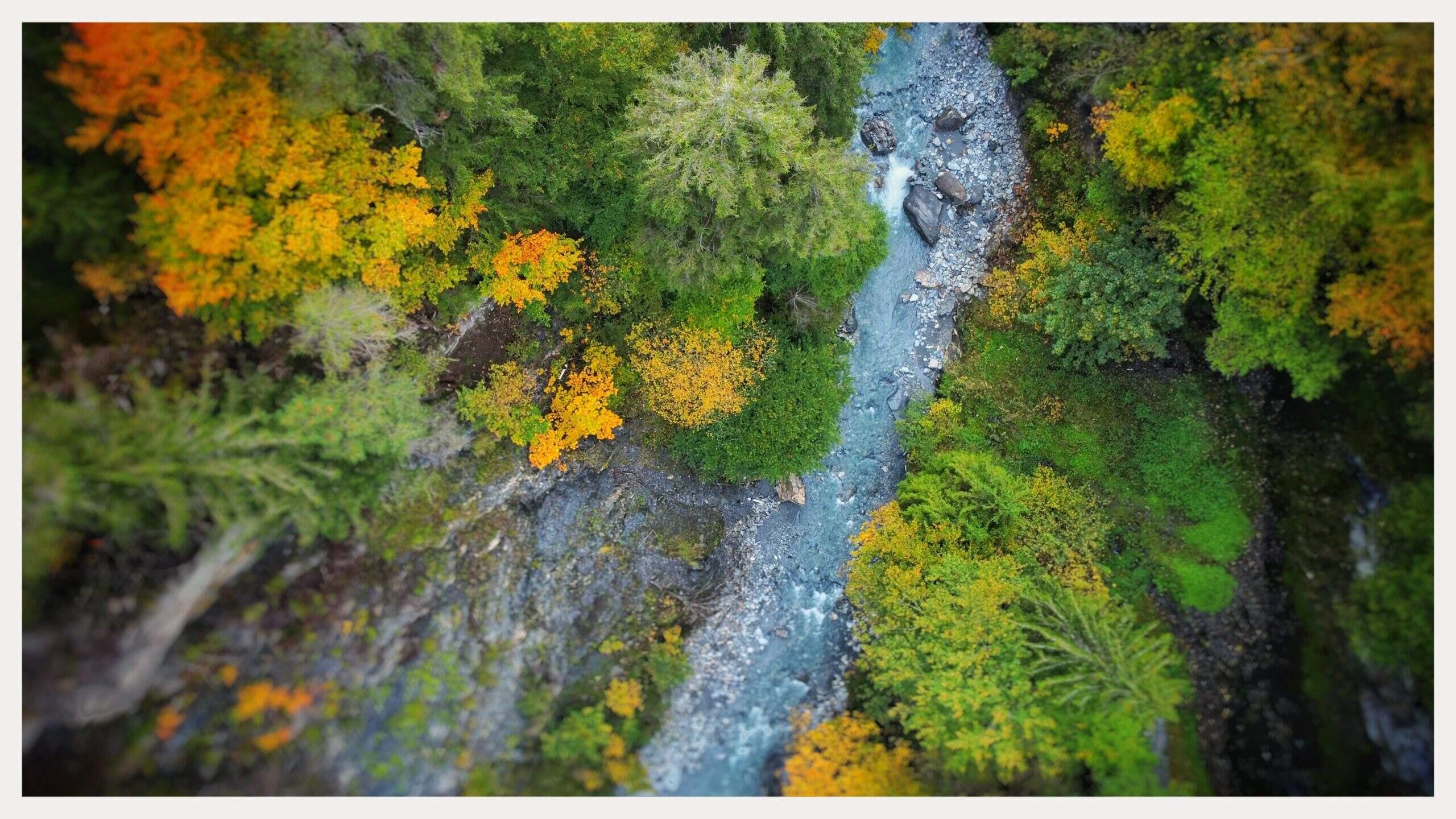 Bild ohne Beschreibung