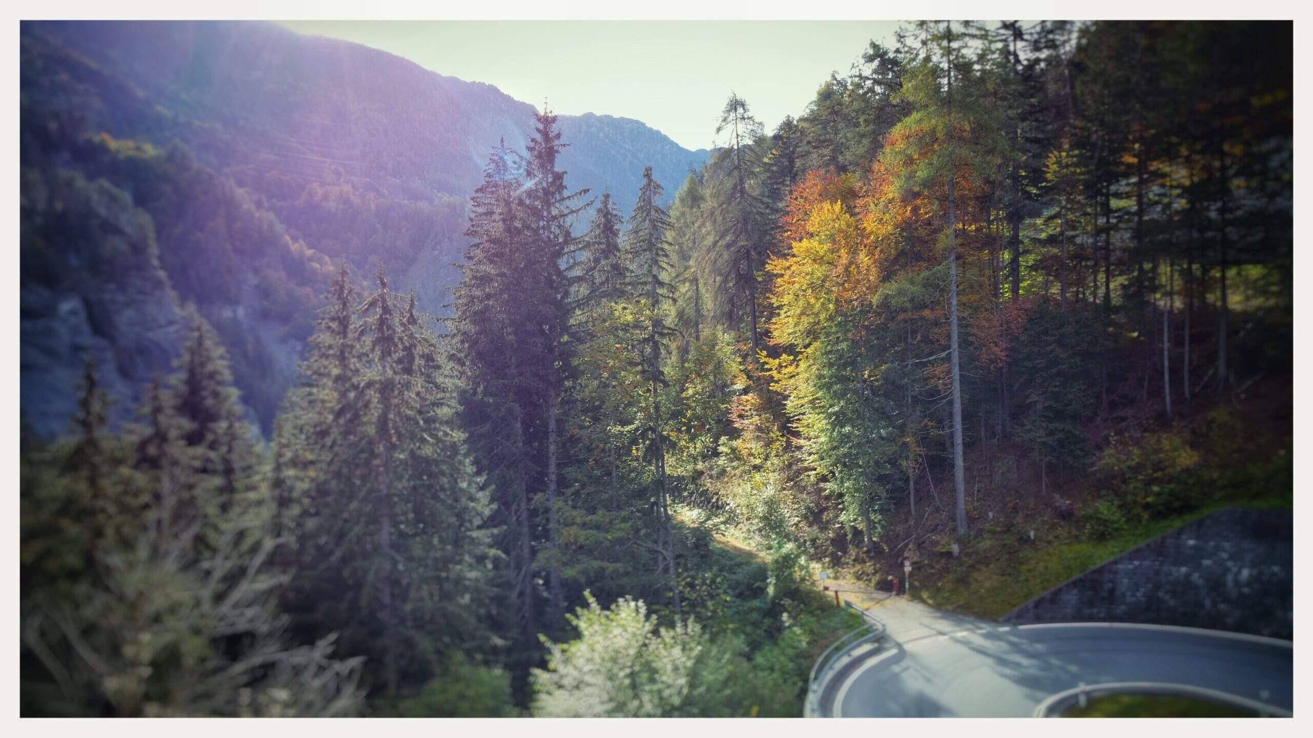 Bild ohne Beschreibung