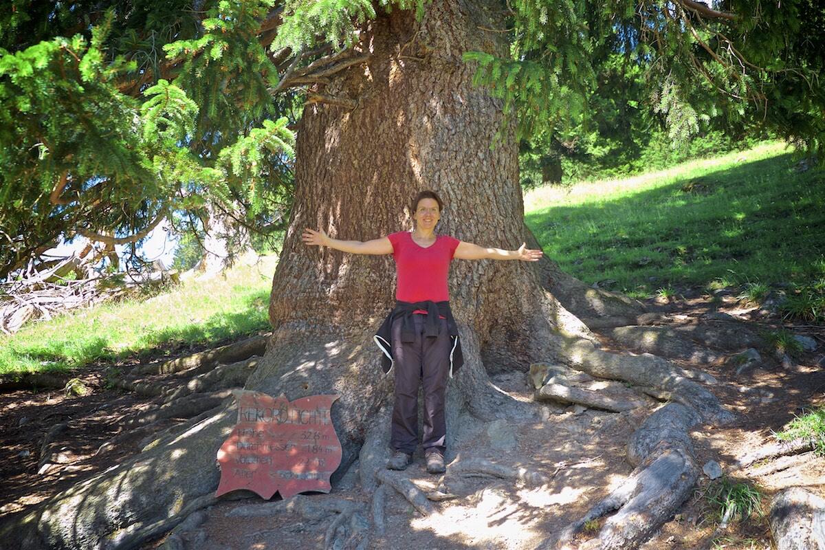 Bild ohne Beschreibung Bild ohne Beschreibung