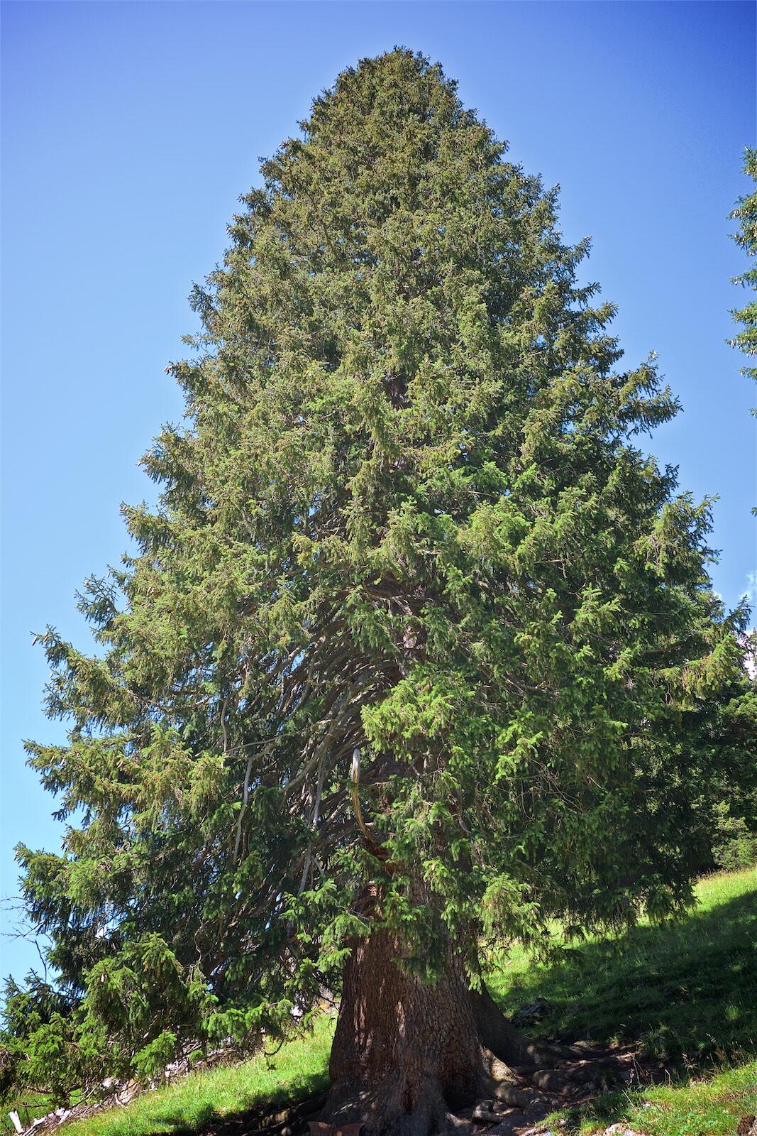 Bild ohne Beschreibung Bild ohne Beschreibung