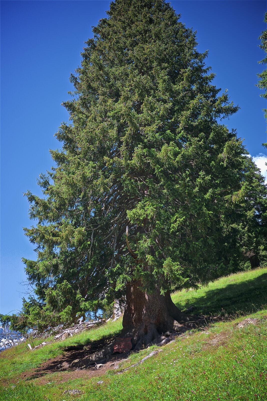 Bild ohne Beschreibung Bild ohne Beschreibung
