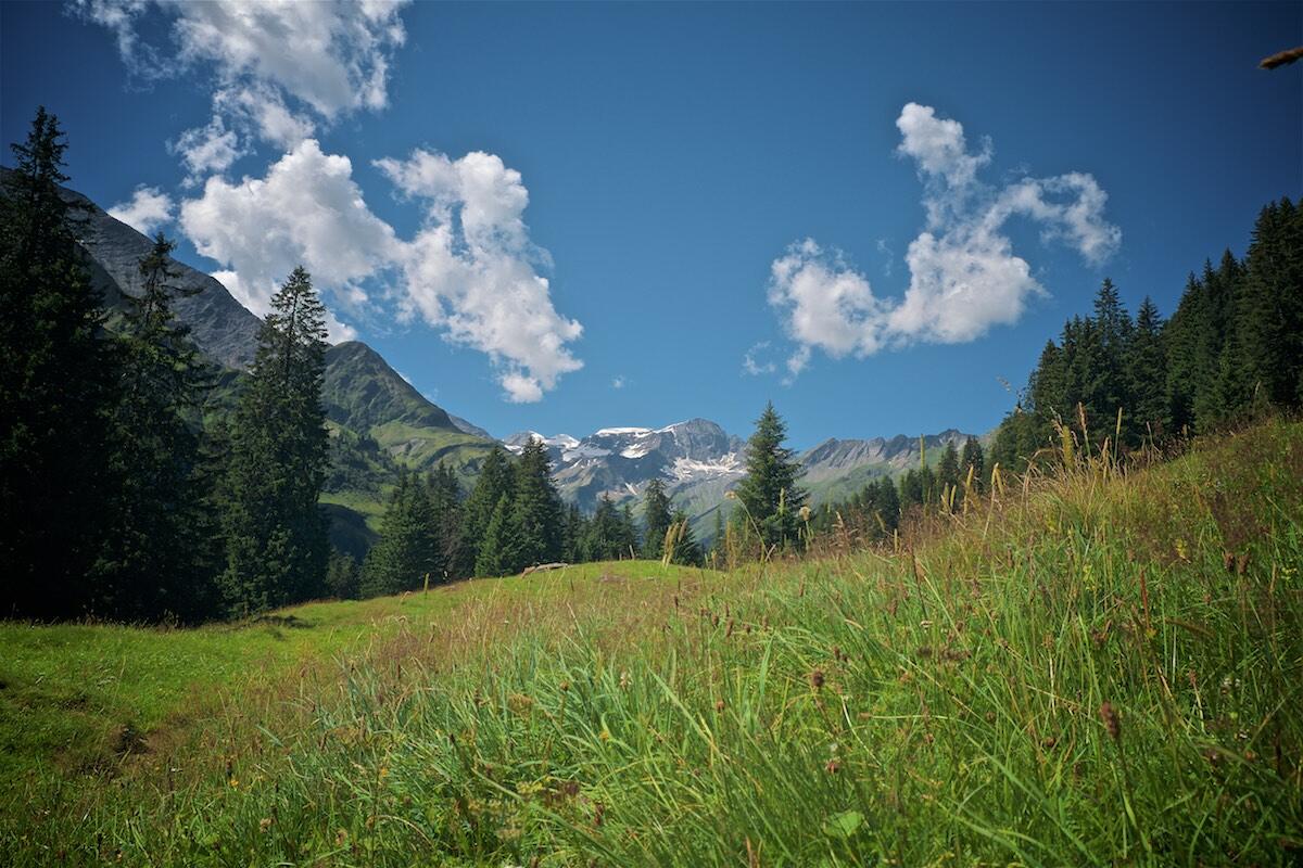 Bild ohne Beschreibung Bild ohne Beschreibung