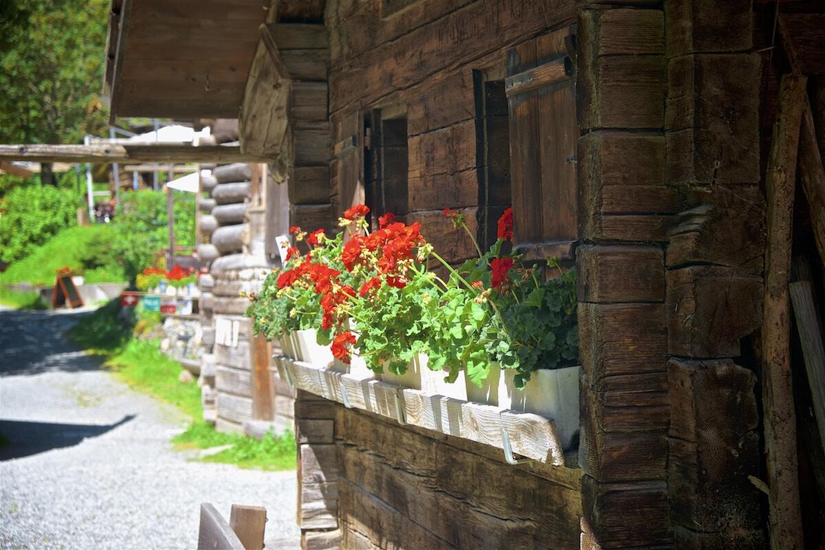 Bild ohne Beschreibung Bild ohne Beschreibung