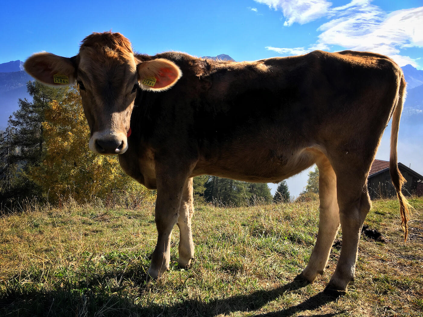 Bild ohne Beschreibung Bild ohne Beschreibung