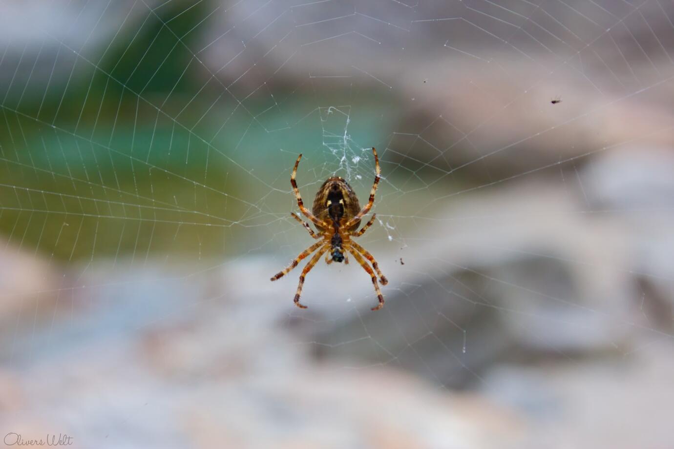 Bild ohne Beschreibung Bild ohne Beschreibung