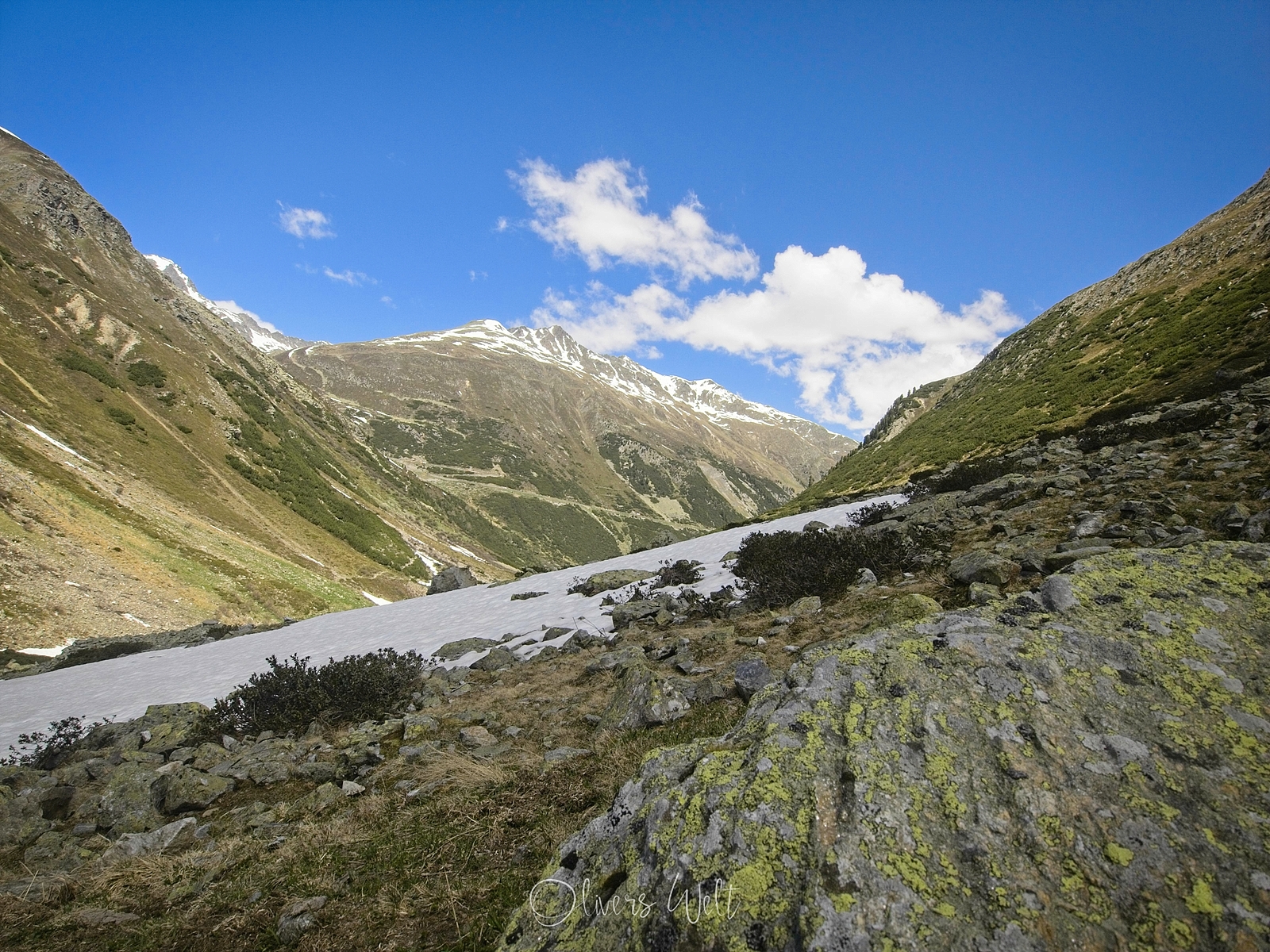 Bild ohne Beschreibung