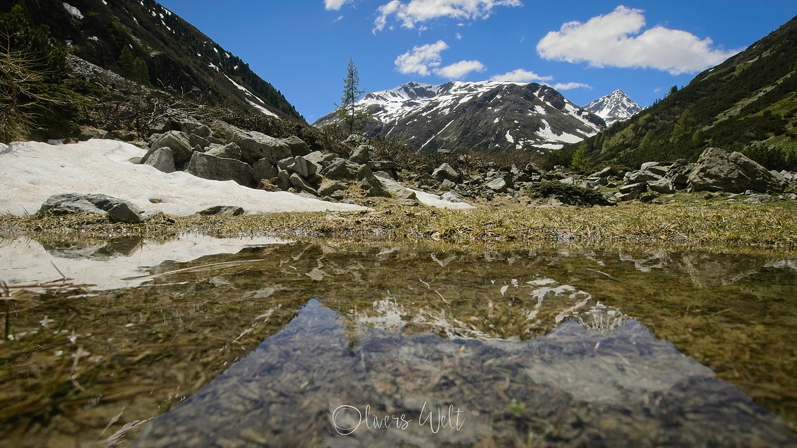 Bild ohne Beschreibung