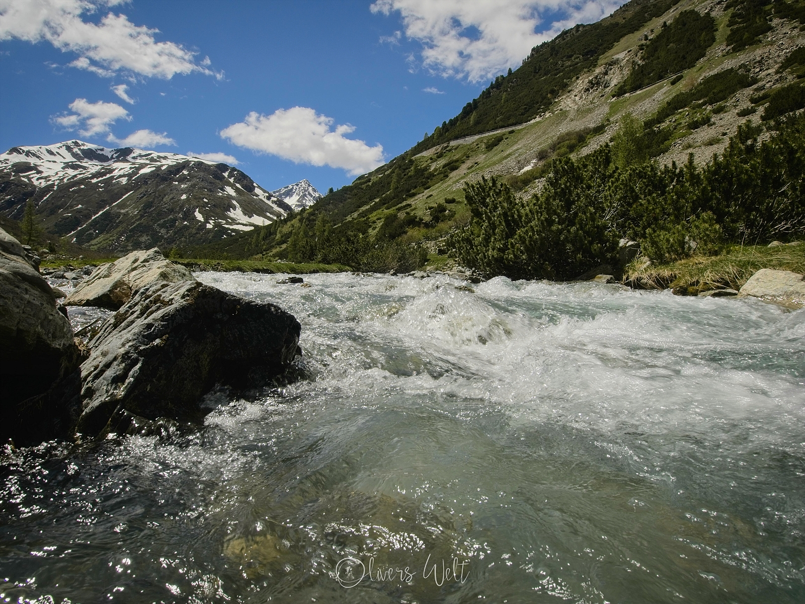 Bild ohne Beschreibung