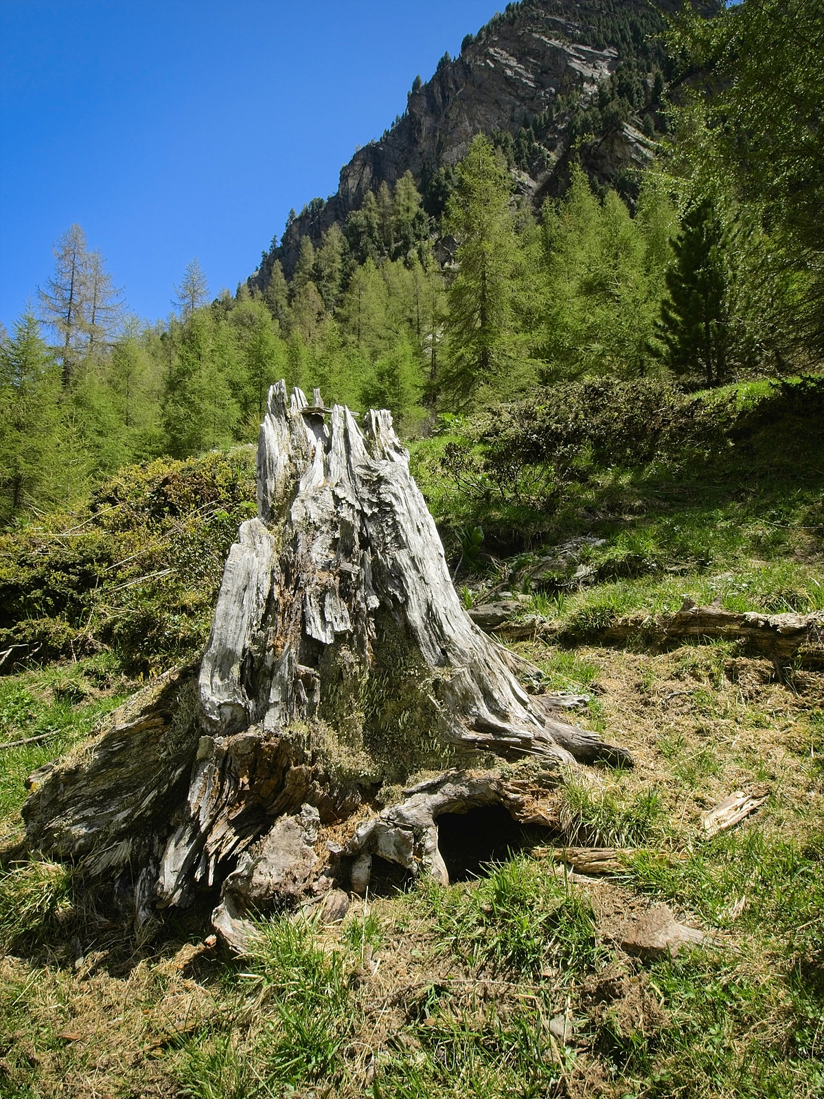 Bild ohne Beschreibung