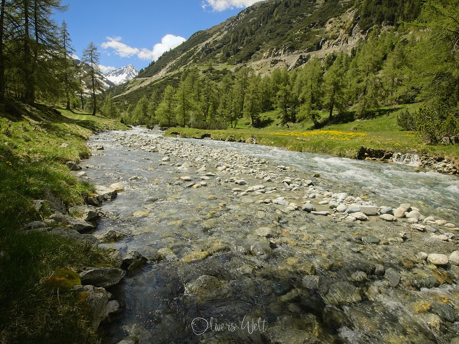 Bild ohne Beschreibung