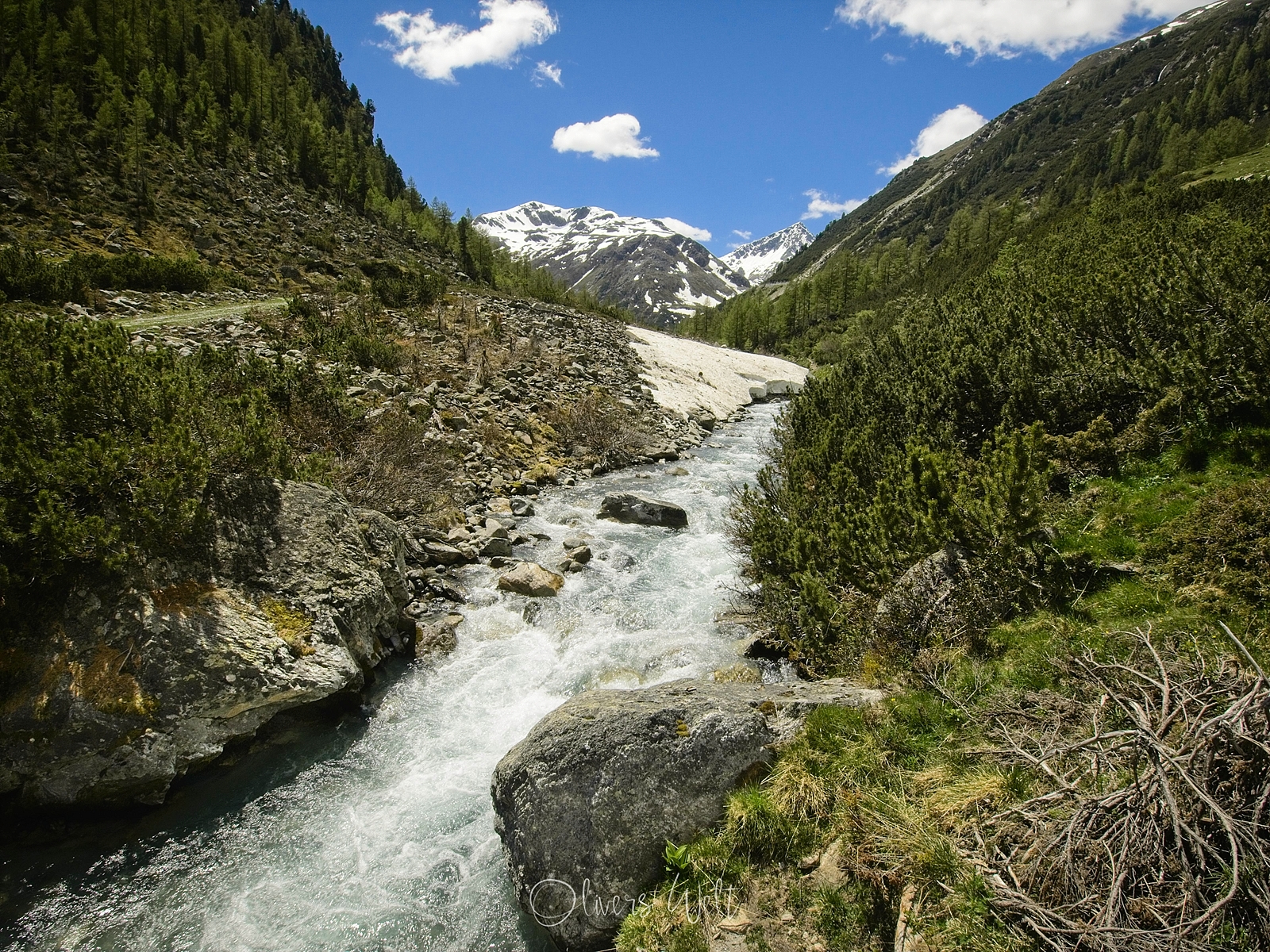 Bild ohne Beschreibung