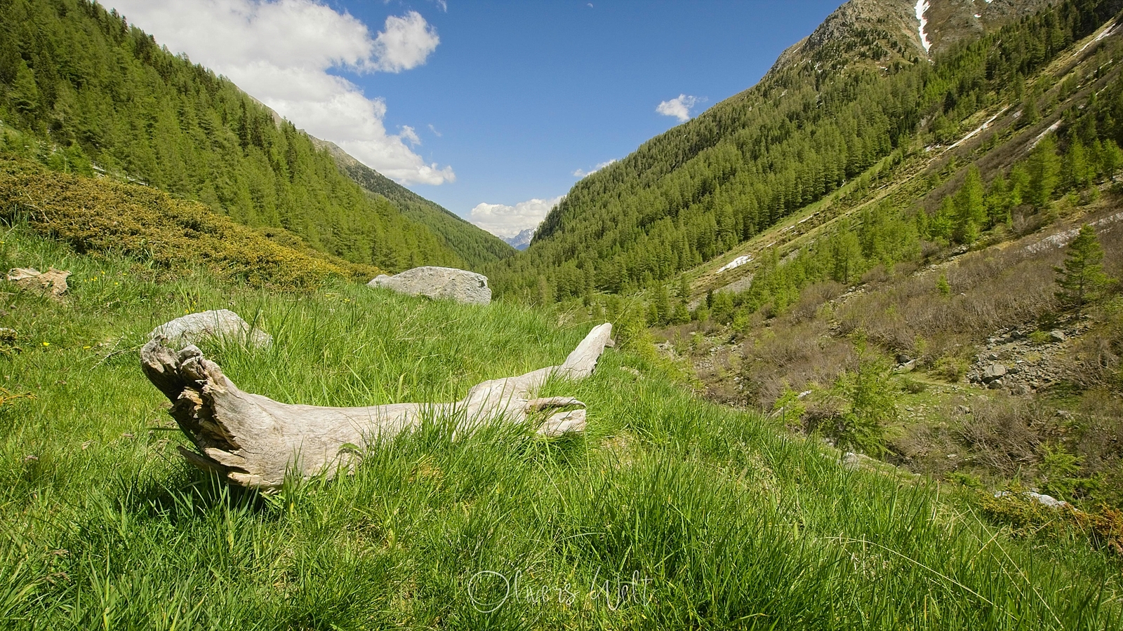 Bild ohne Beschreibung