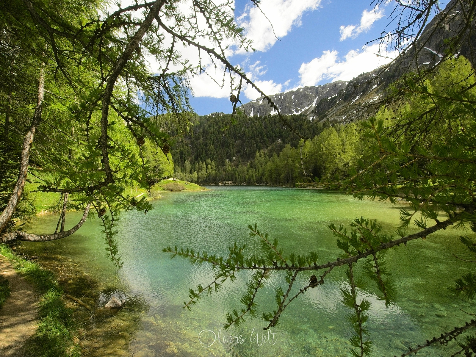 Bild ohne Beschreibung