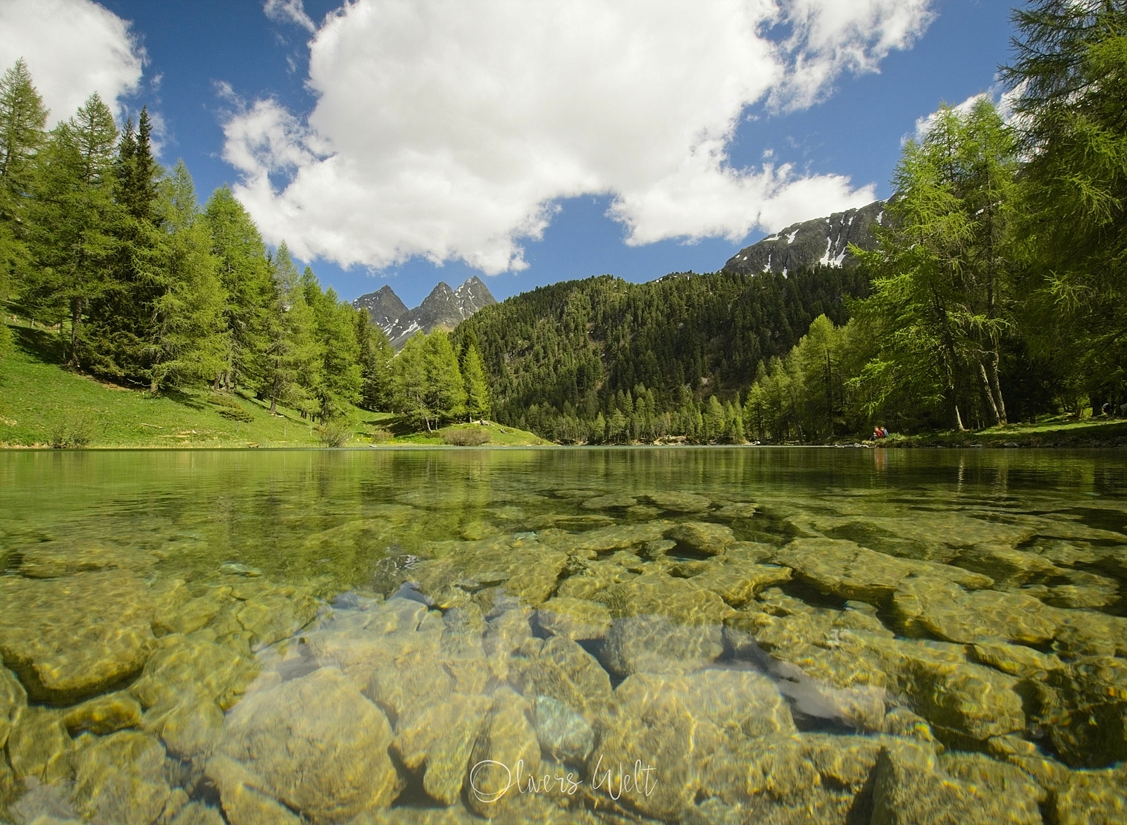 Bild ohne Beschreibung