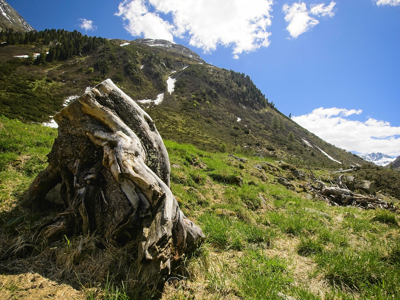 Bild ohne Beschreibung