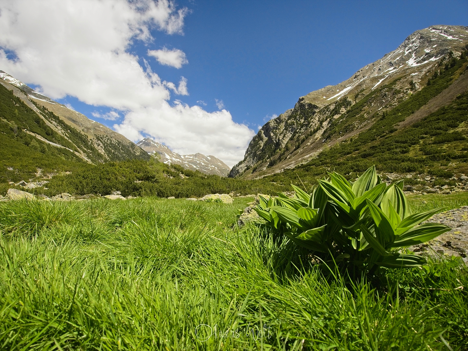 Bild ohne Beschreibung