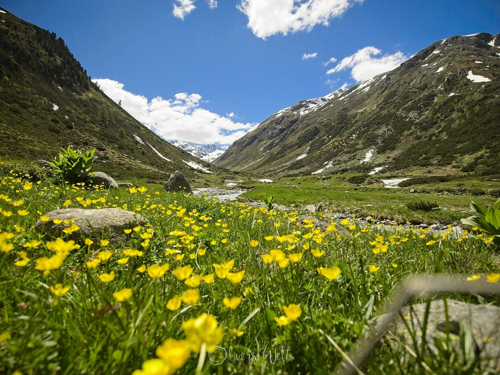 Bild ohne Beschreibung