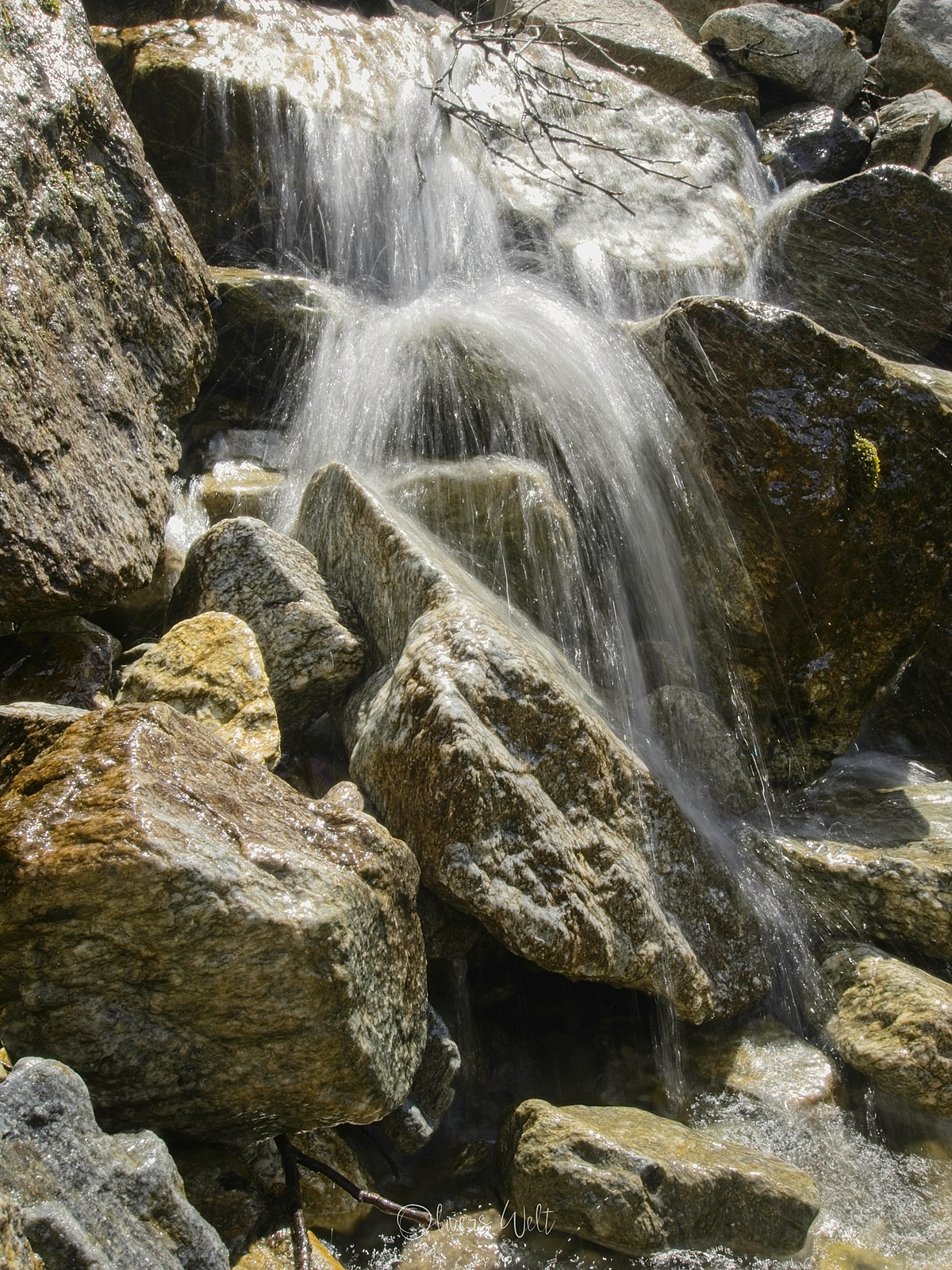 Bild ohne Beschreibung