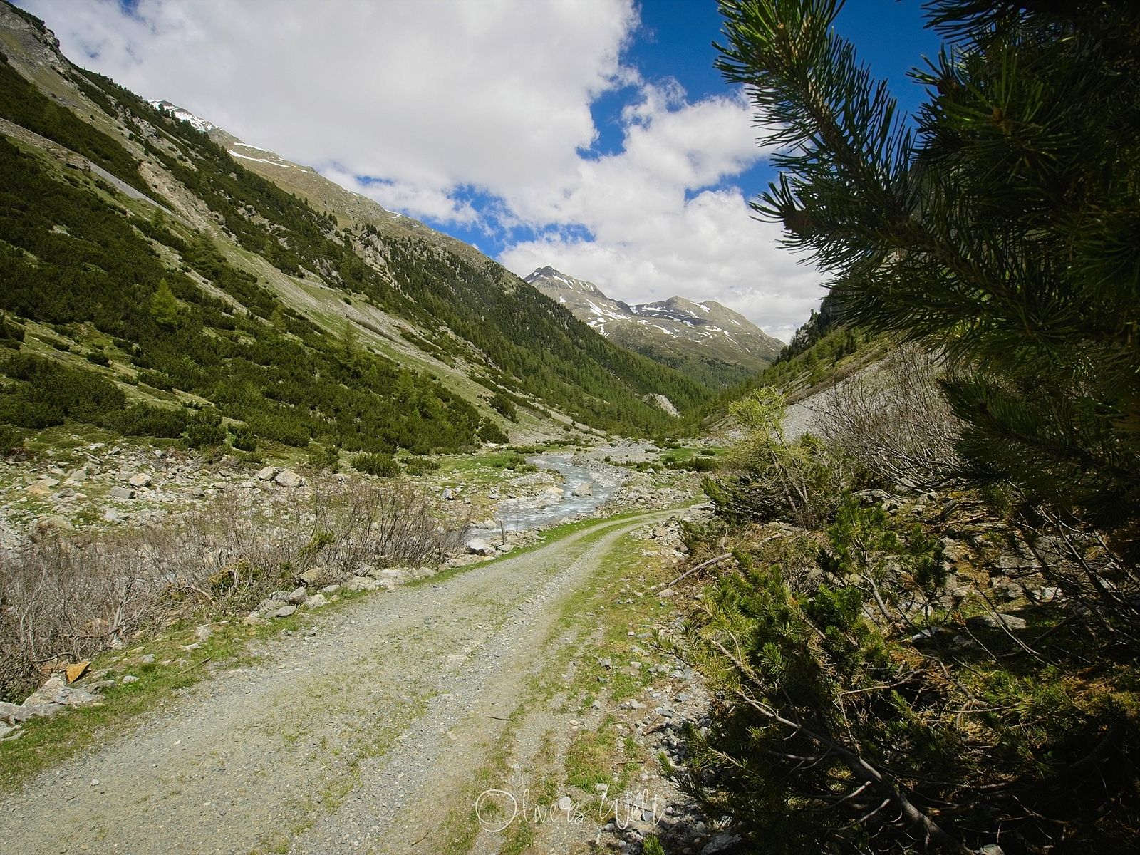 Bild ohne Beschreibung