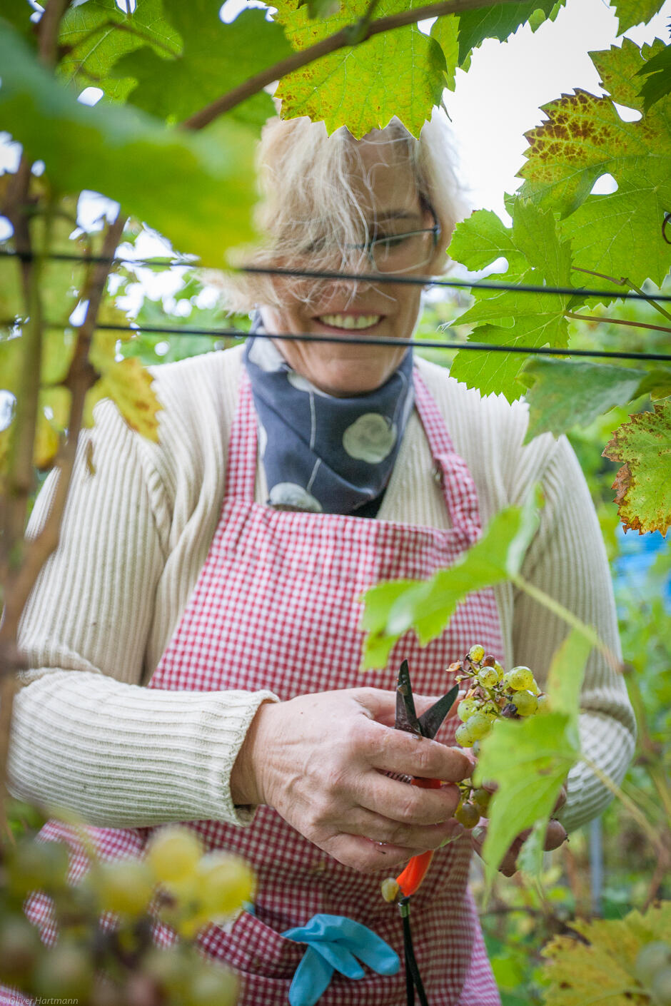 Wimmeln-in-Eschen-1347