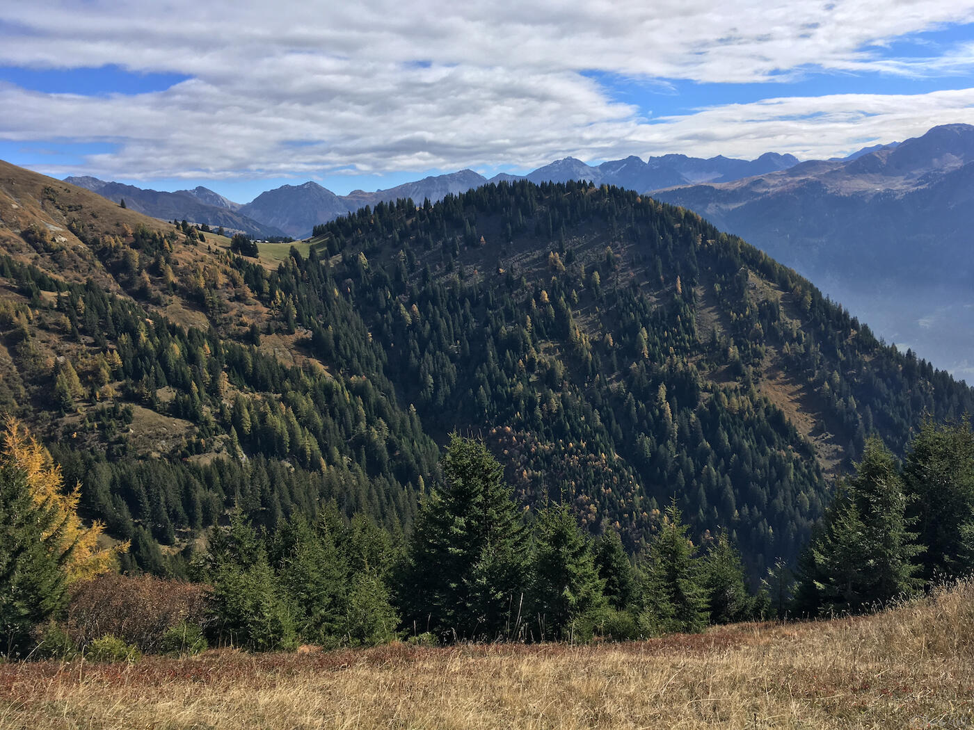 Bild ohne Beschreibung Bild ohne Beschreibung