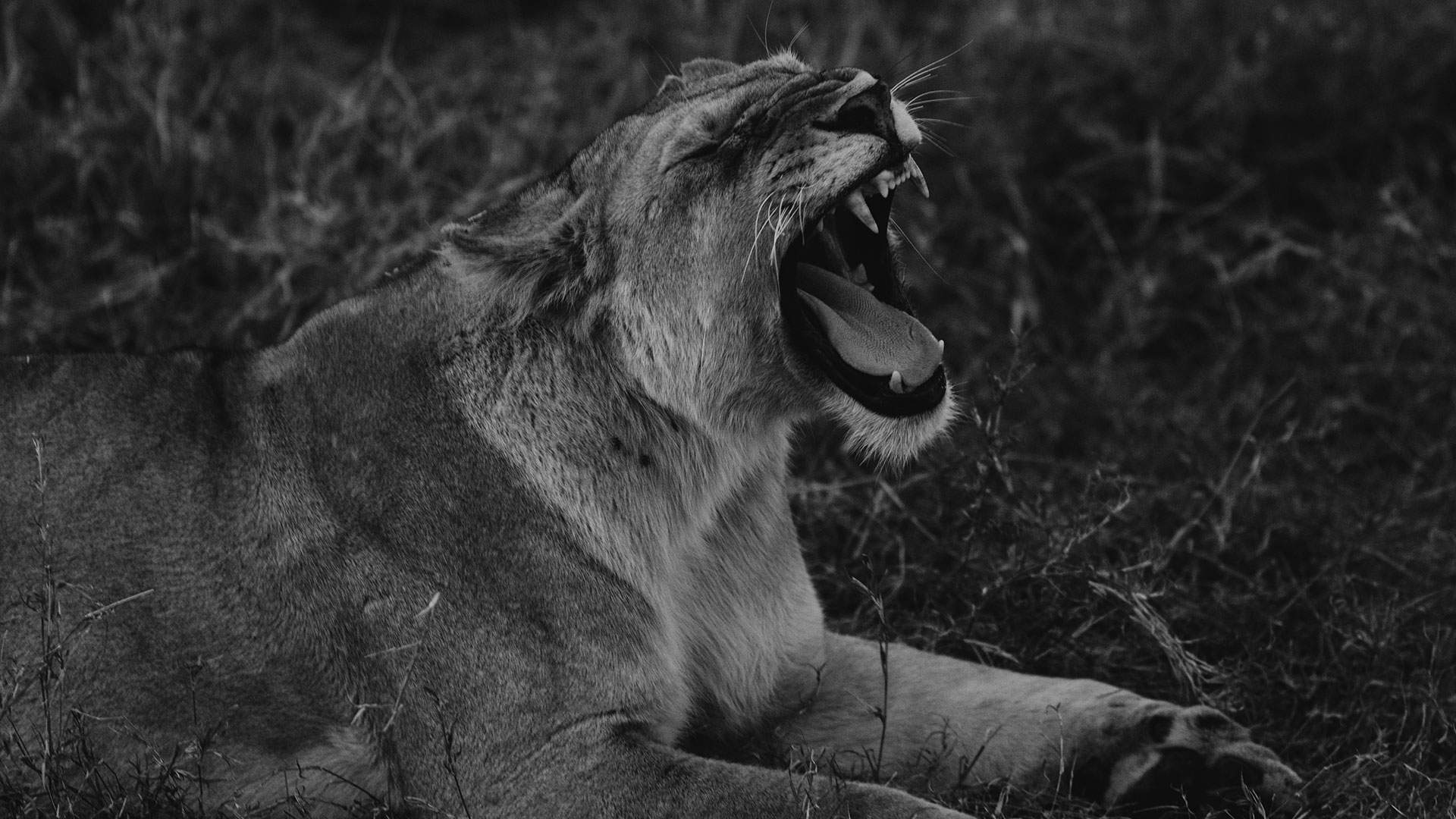 Bild ohne Beschreibung