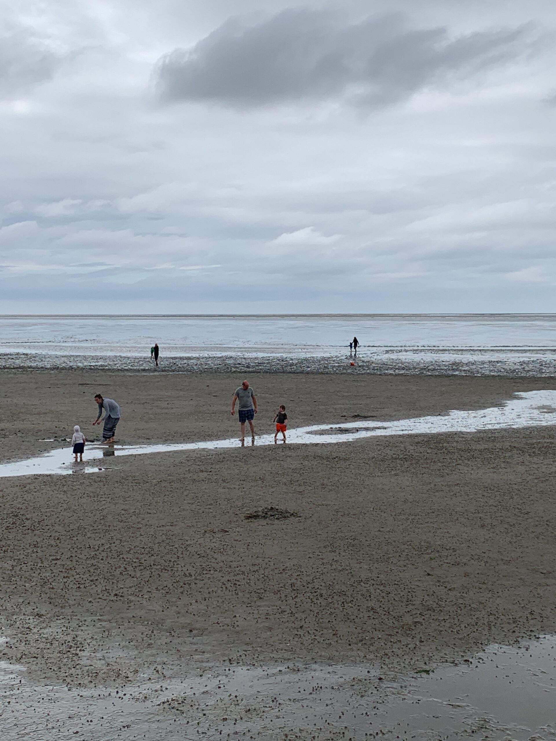 Bild ohne Beschreibung