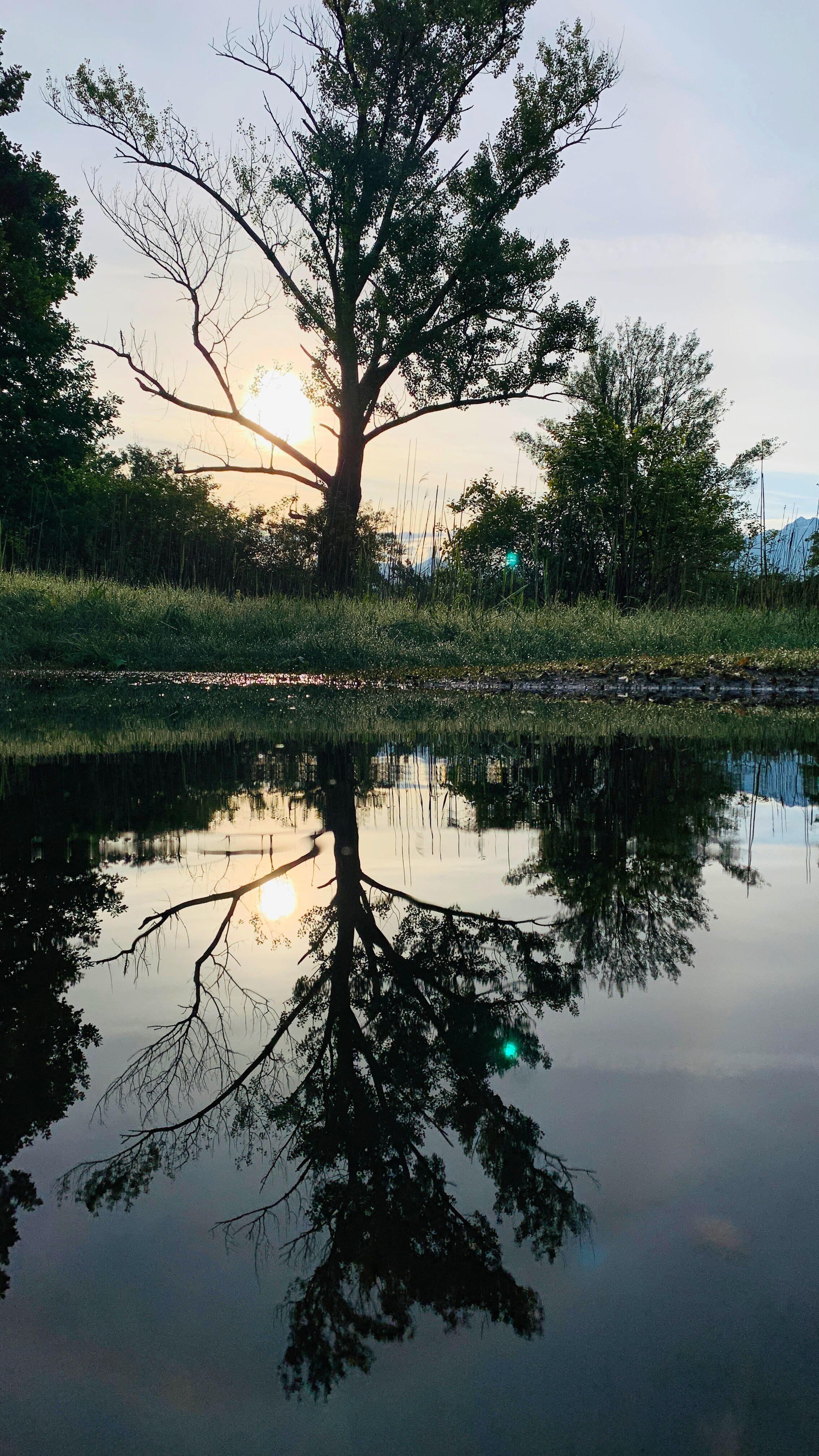 Bild ohne Beschreibung Bild ohne Beschreibung