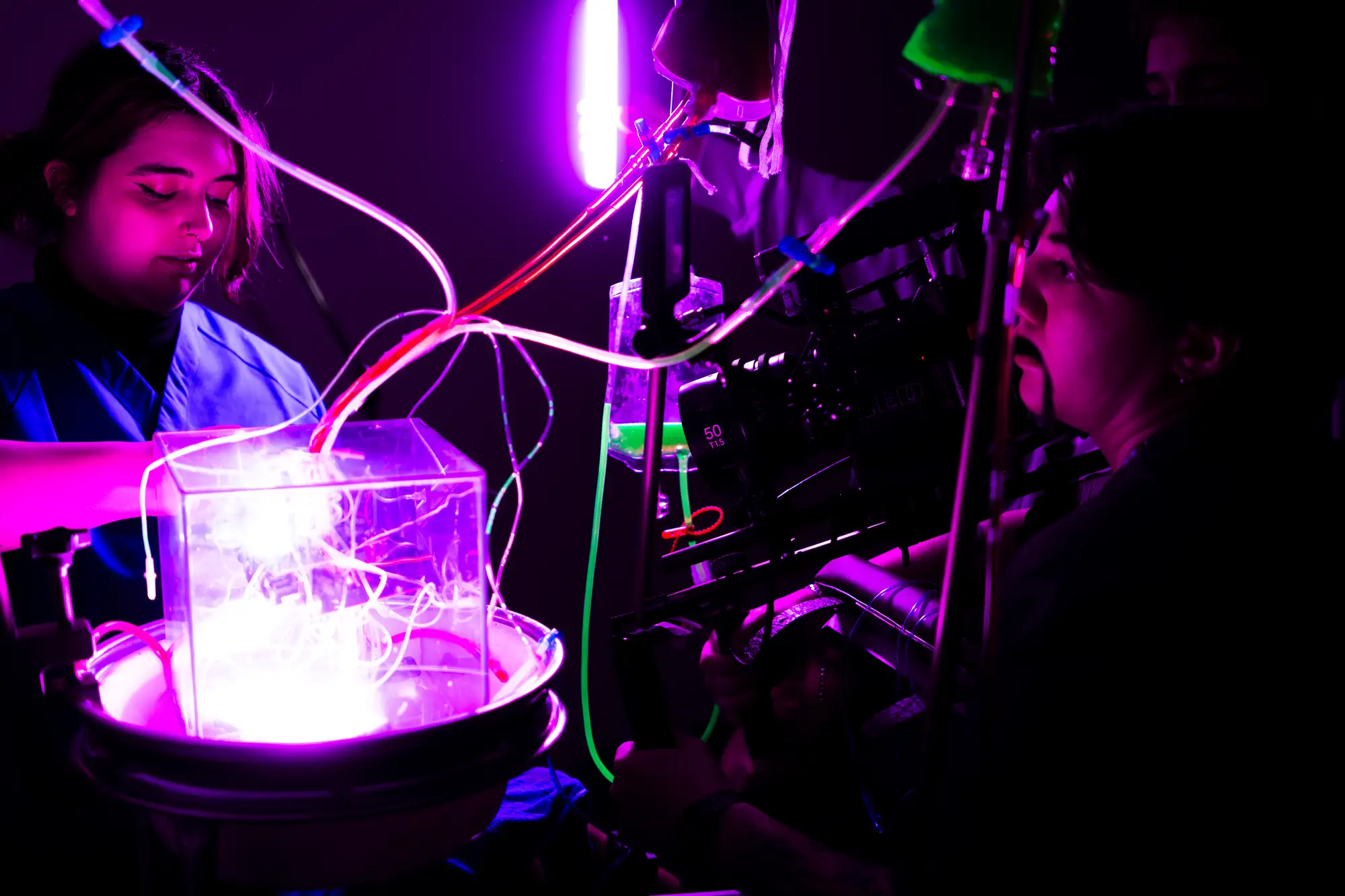 dsc00234 ergebnis dsc00234 ergebnis