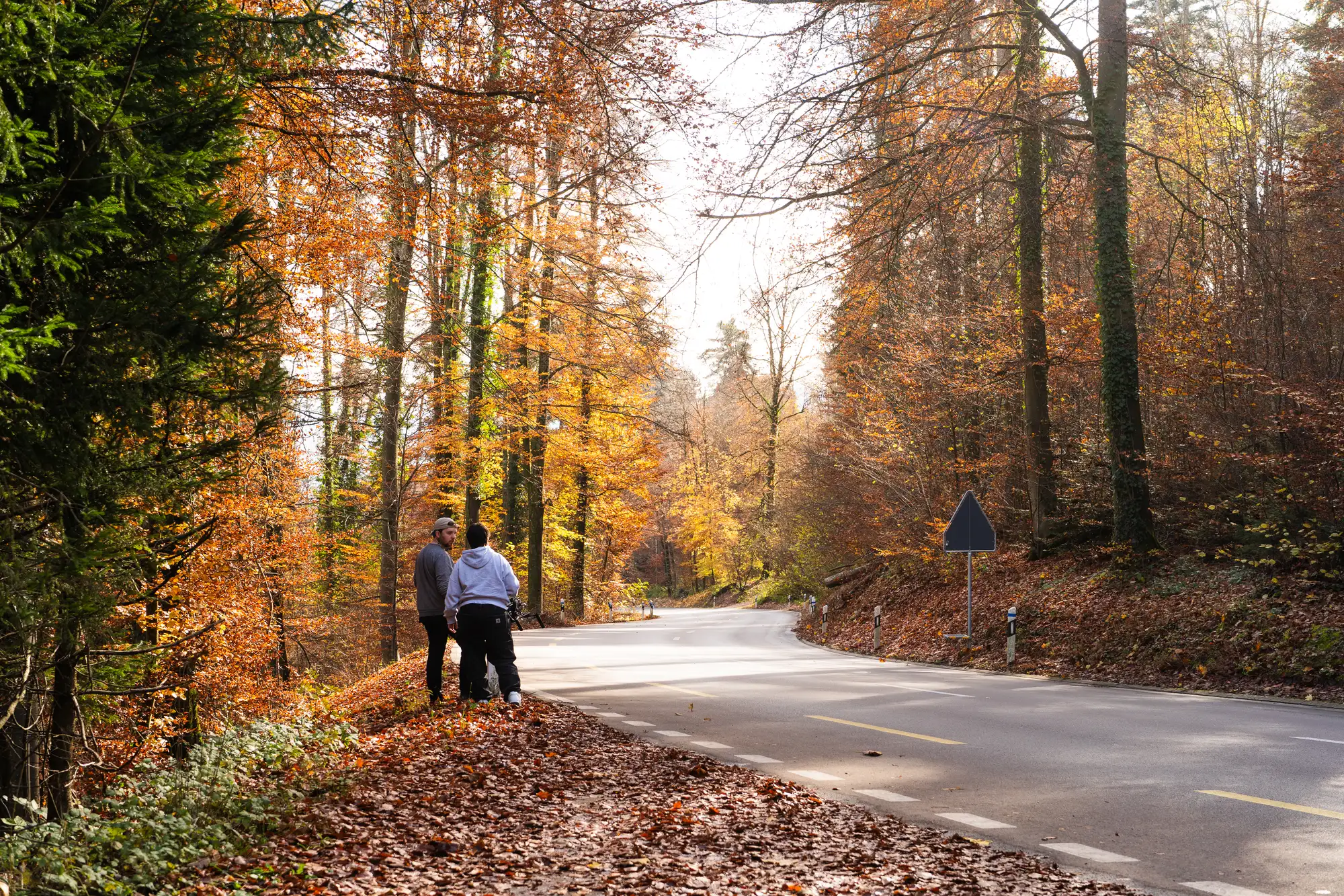 dsc09482 ergebnis dsc09482 ergebnis