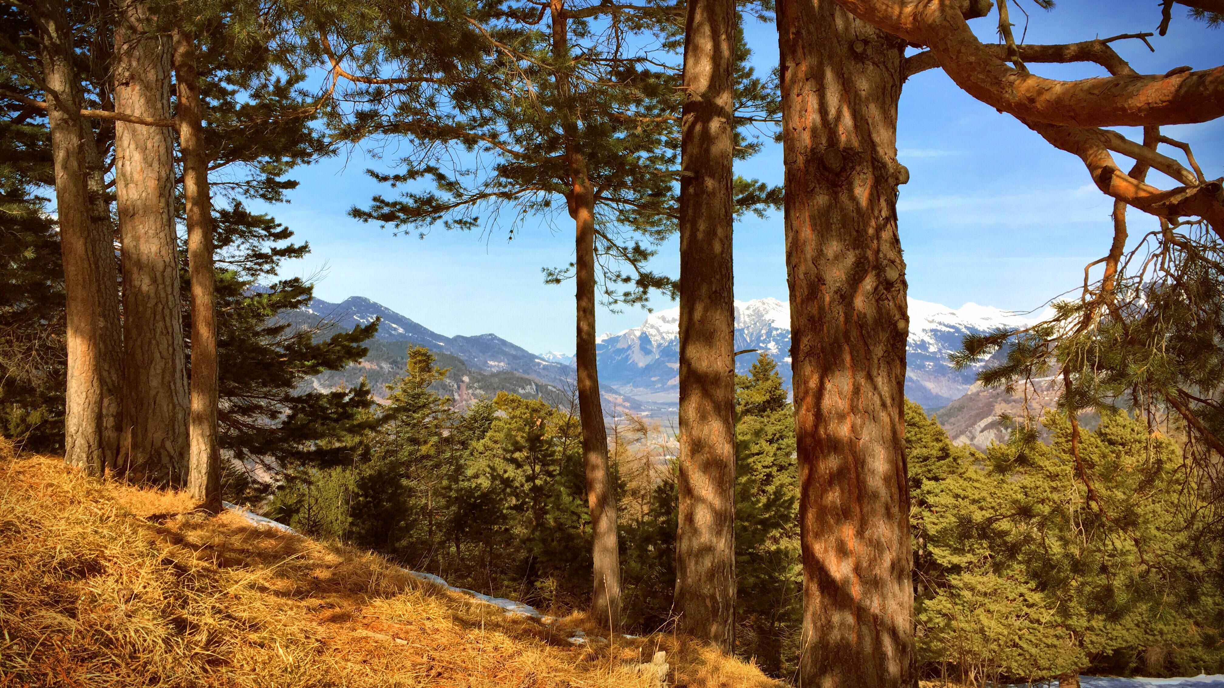 Bild ohne Beschreibung